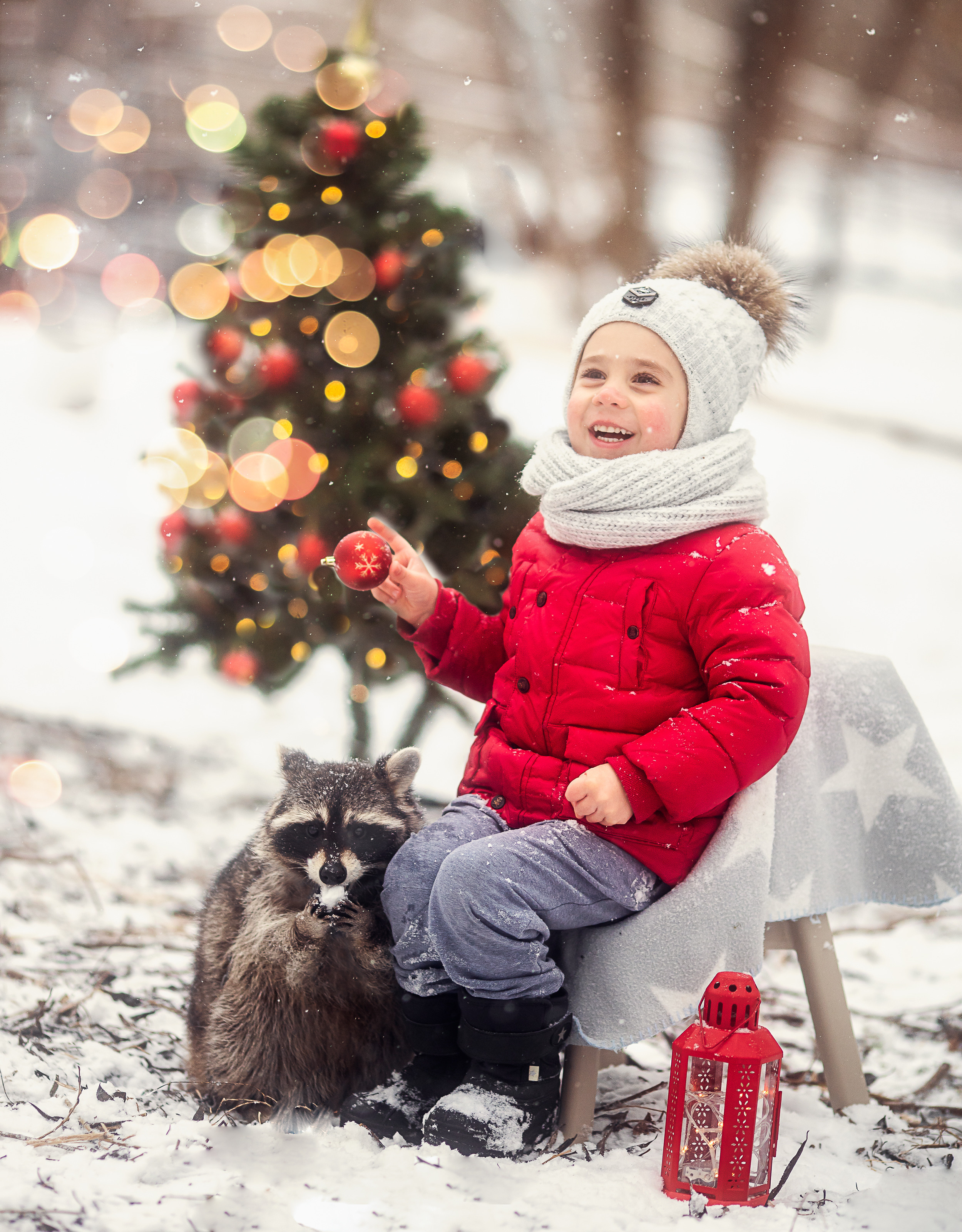 Енот. Профессиональный фотограф в Москве Марина Григорьева