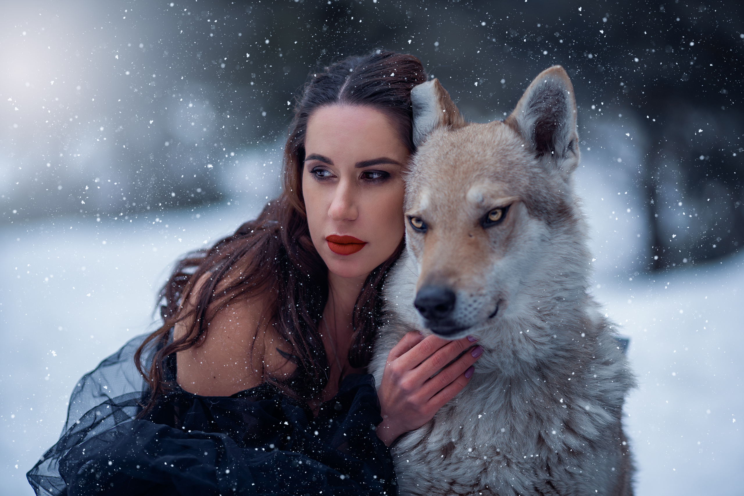 Волки. Профессиональный фотограф в Москве Марина Григорьева