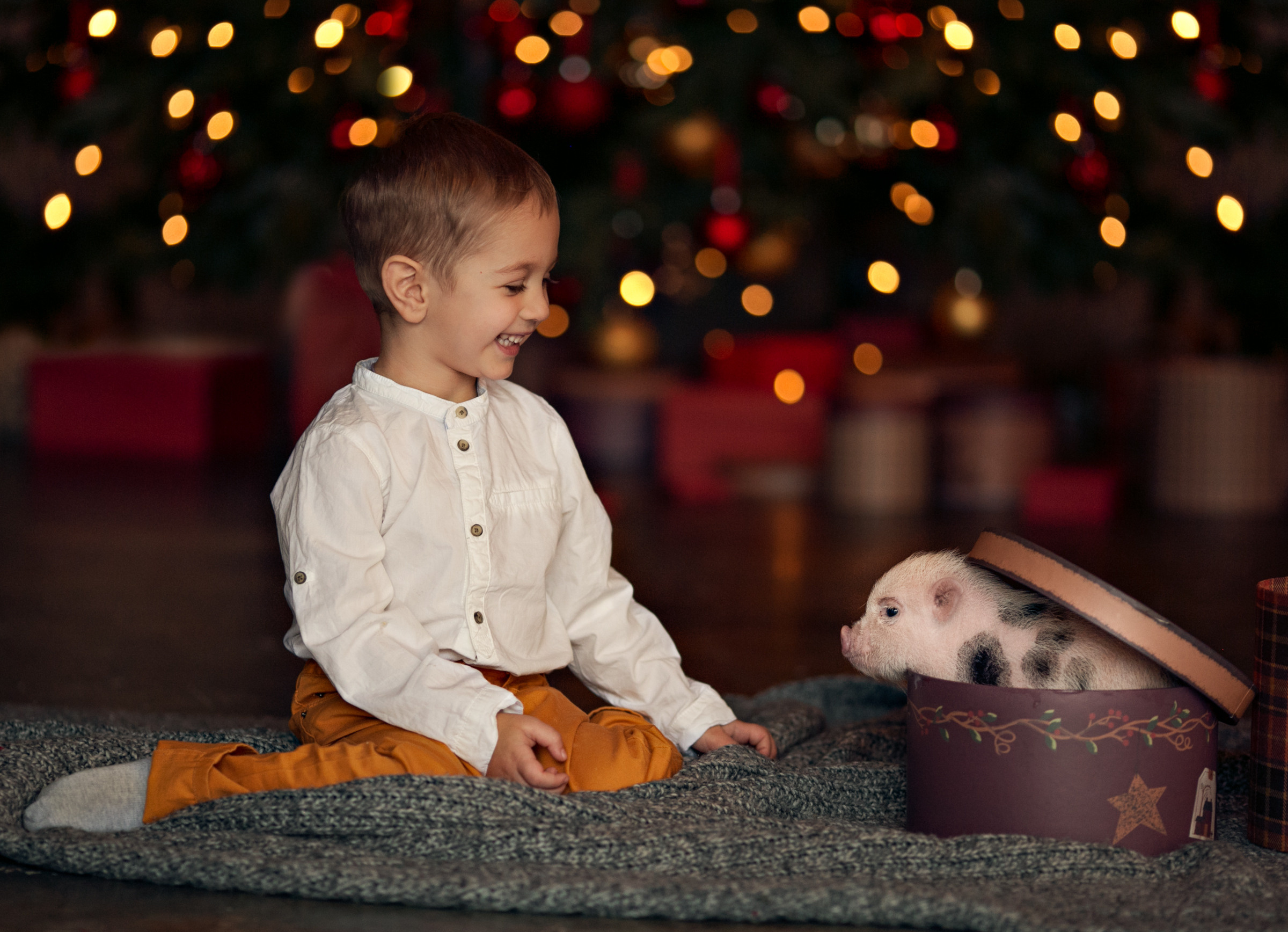 Разные животные. Профессиональный фотограф в Москве Марина Григорьева