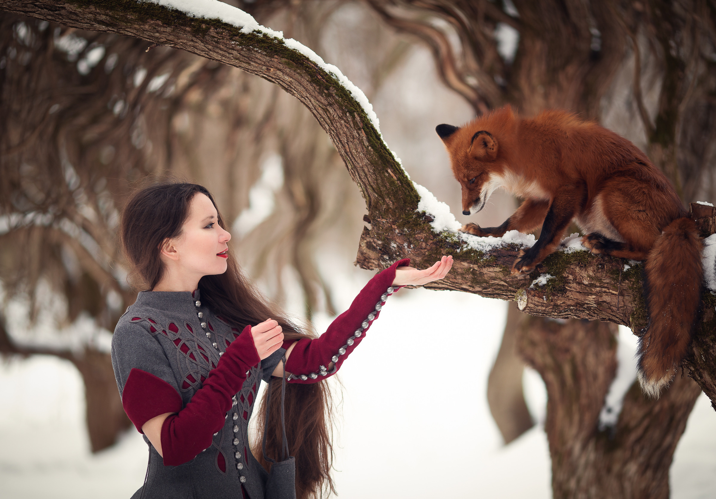Лиса. Профессиональный фотограф в Москве Марина Григорьева