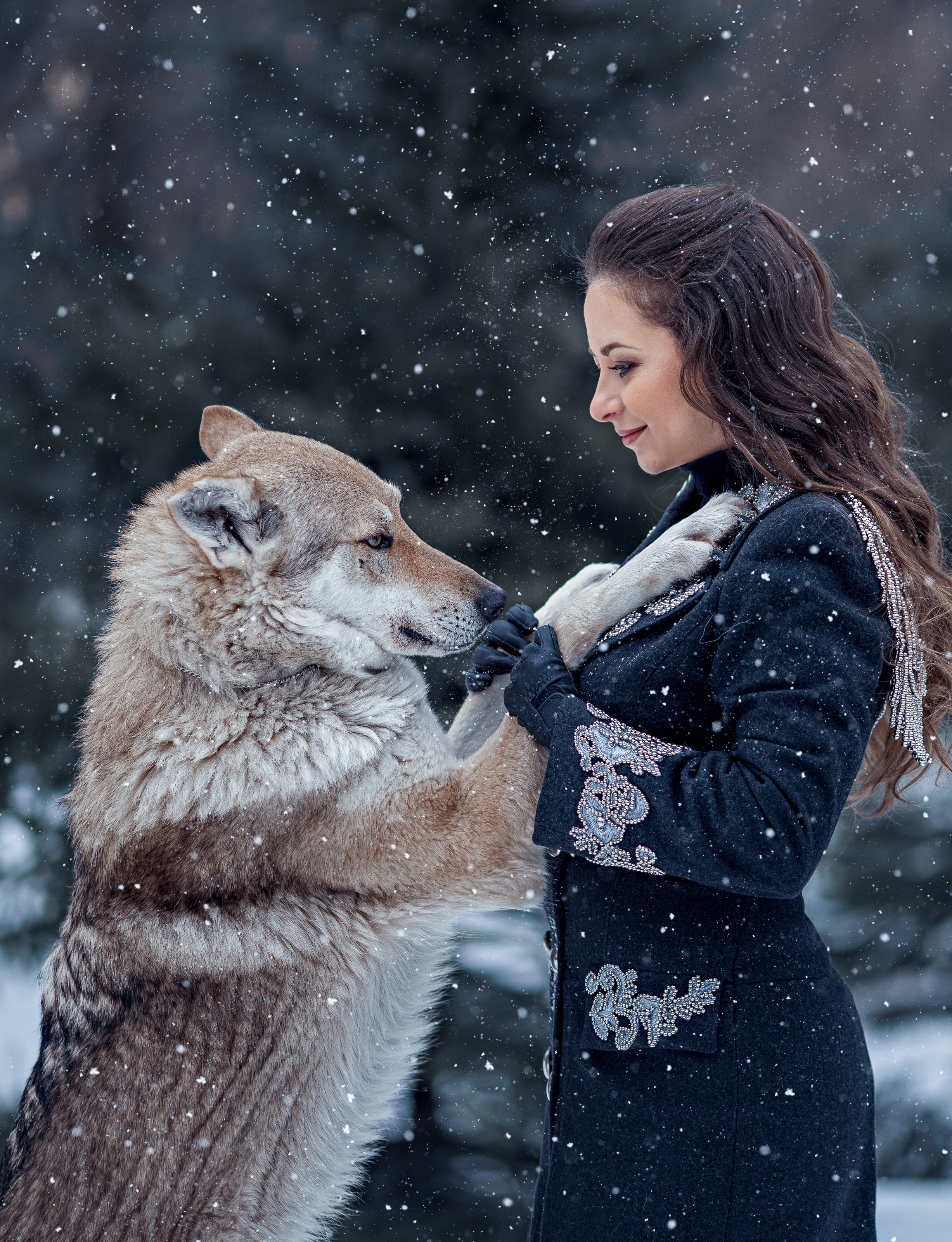 Волки. Профессиональный фотограф в Москве Марина Григорьева