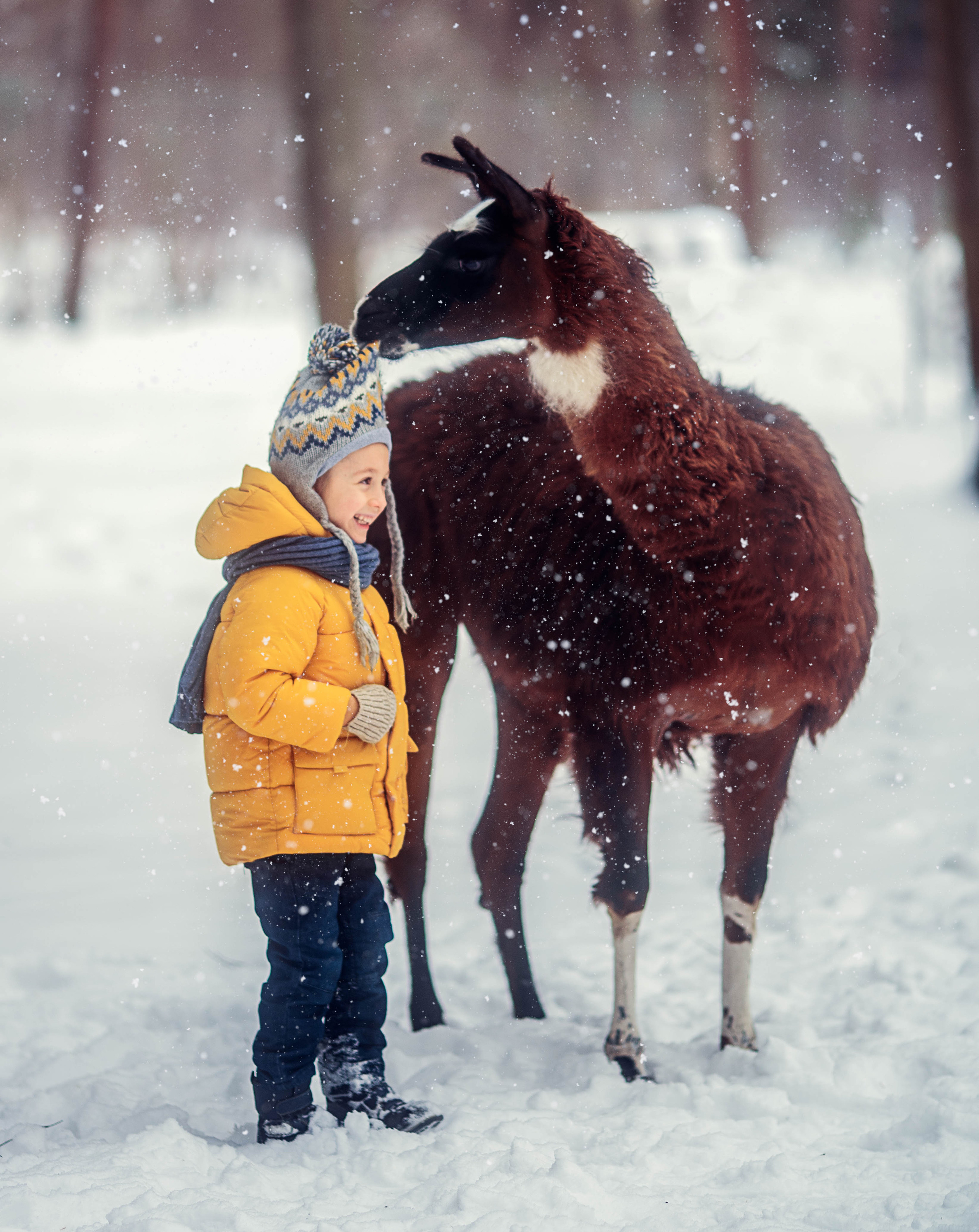 Разные животные. Профессиональный фотограф в Москве Марина Григорьева