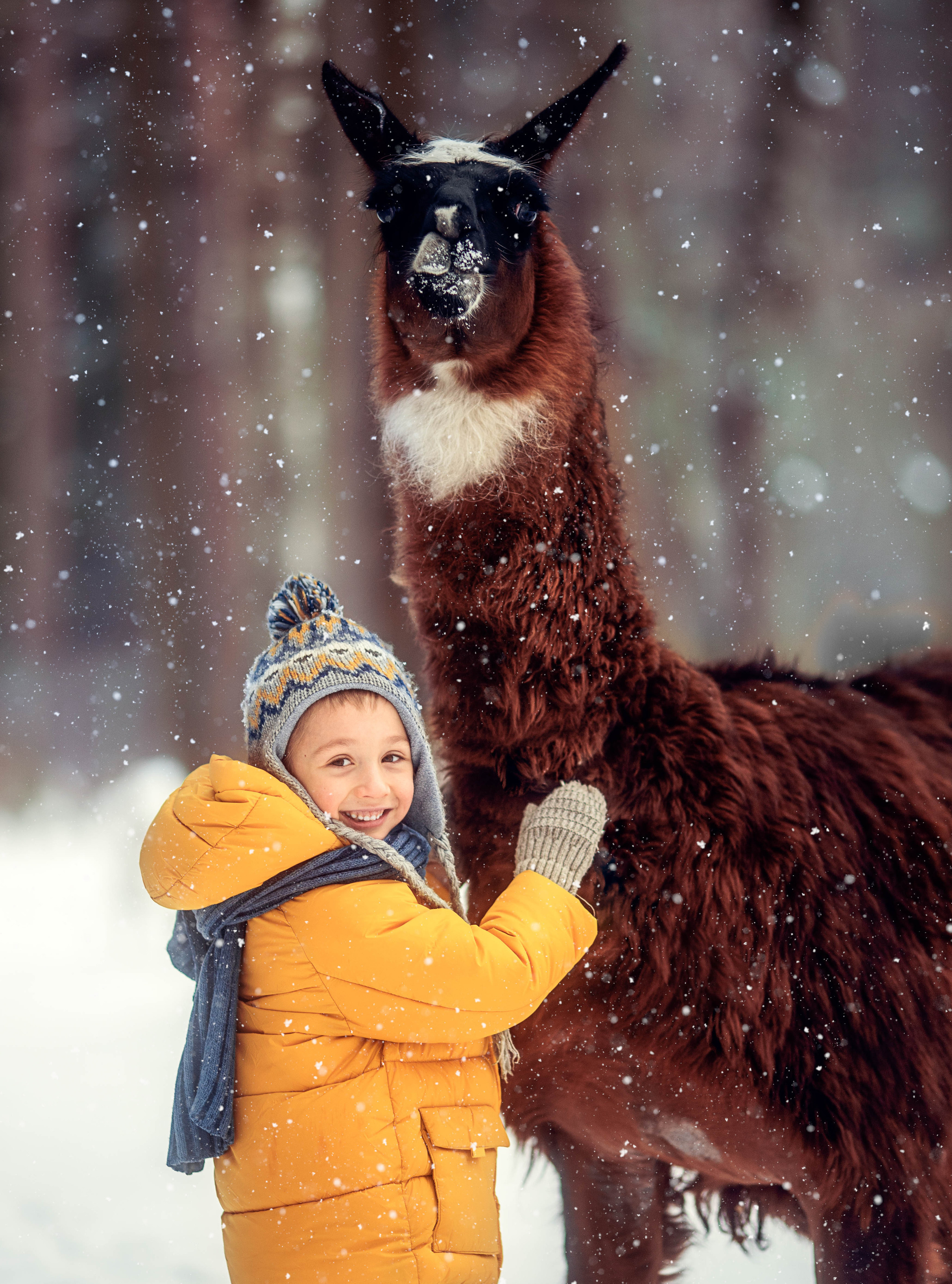 Разные животные. Профессиональный фотограф в Москве Марина Григорьева