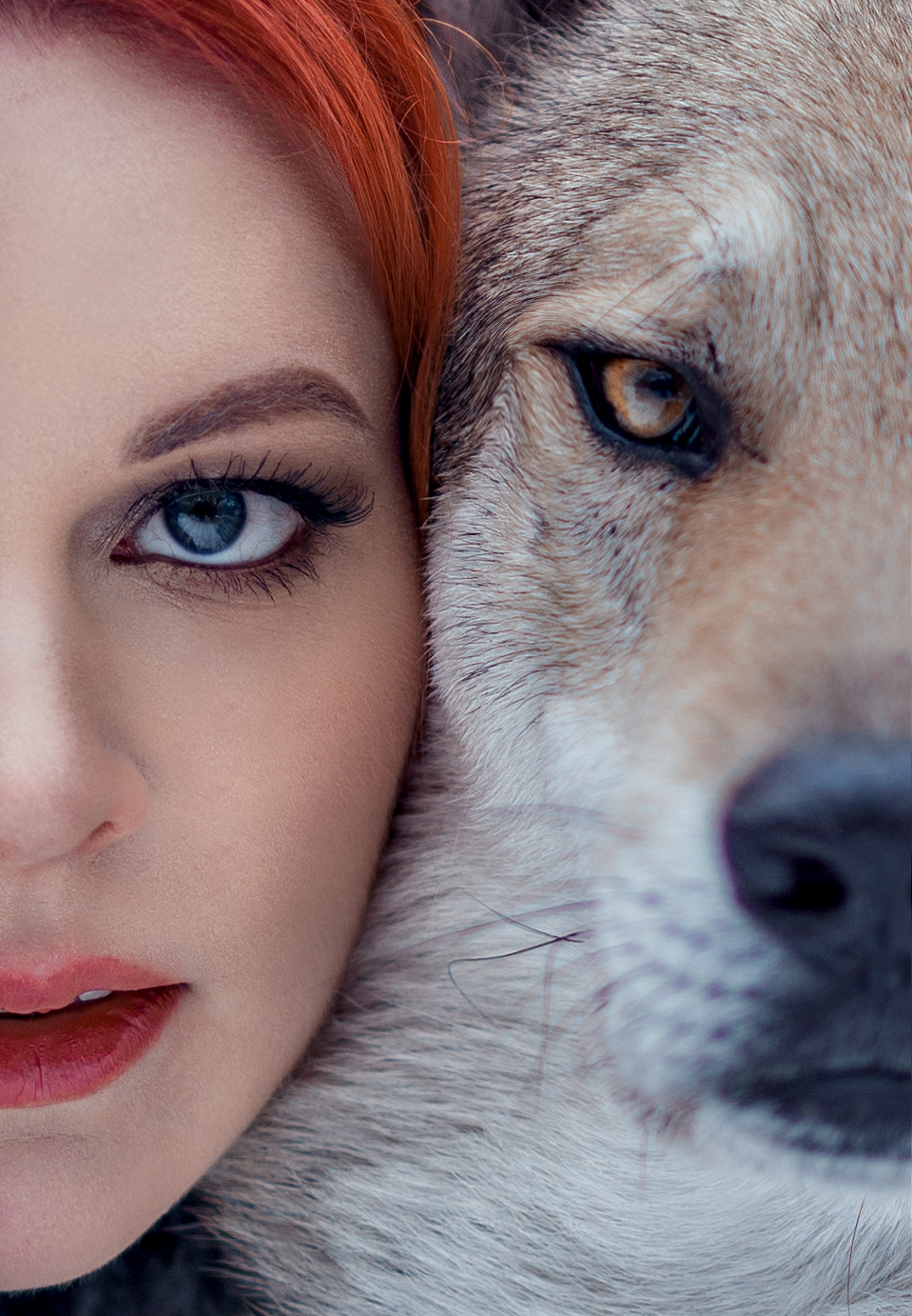 Волки. Профессиональный фотограф в Москве Марина Григорьева