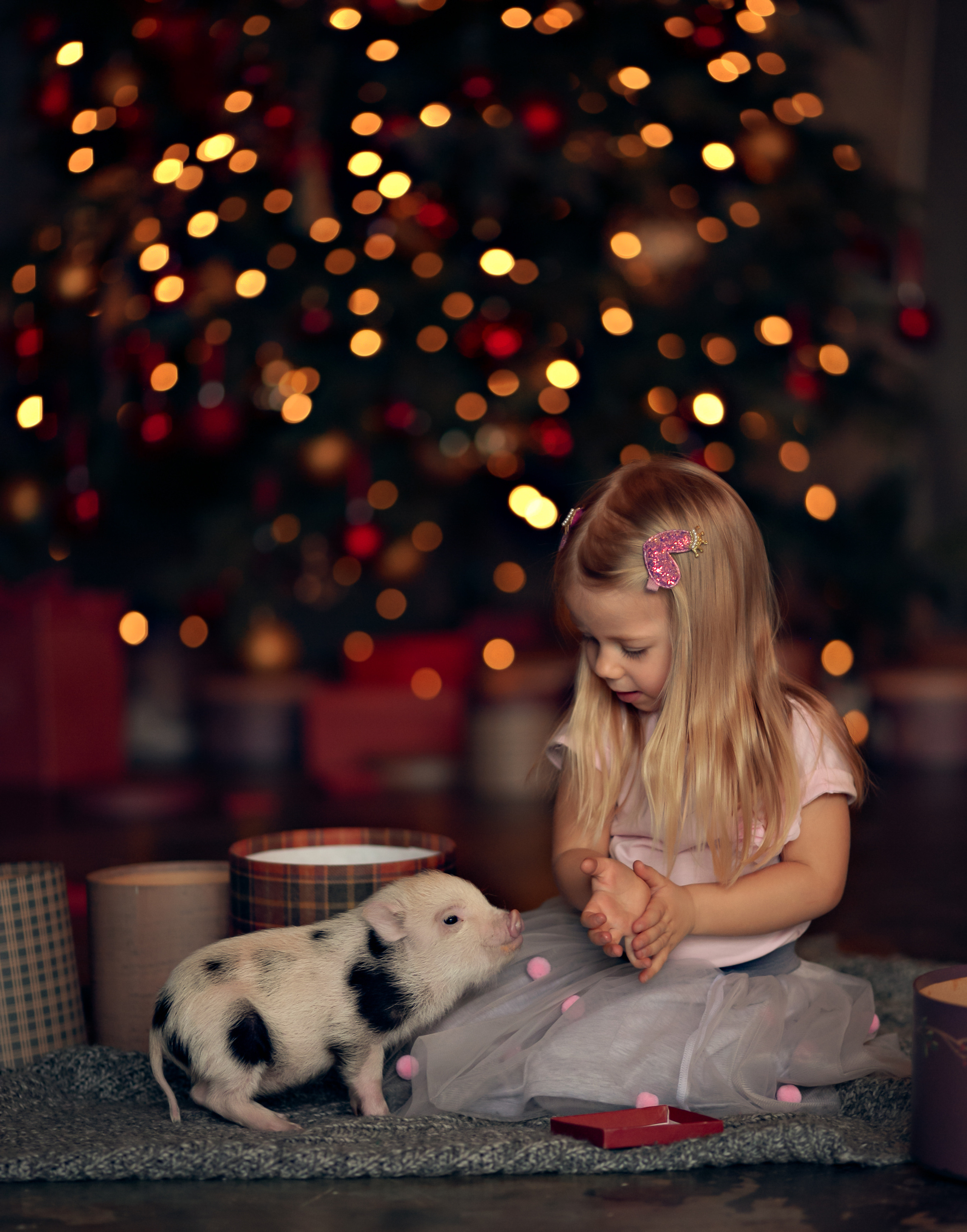 Разные животные. Профессиональный фотограф в Москве Марина Григорьева