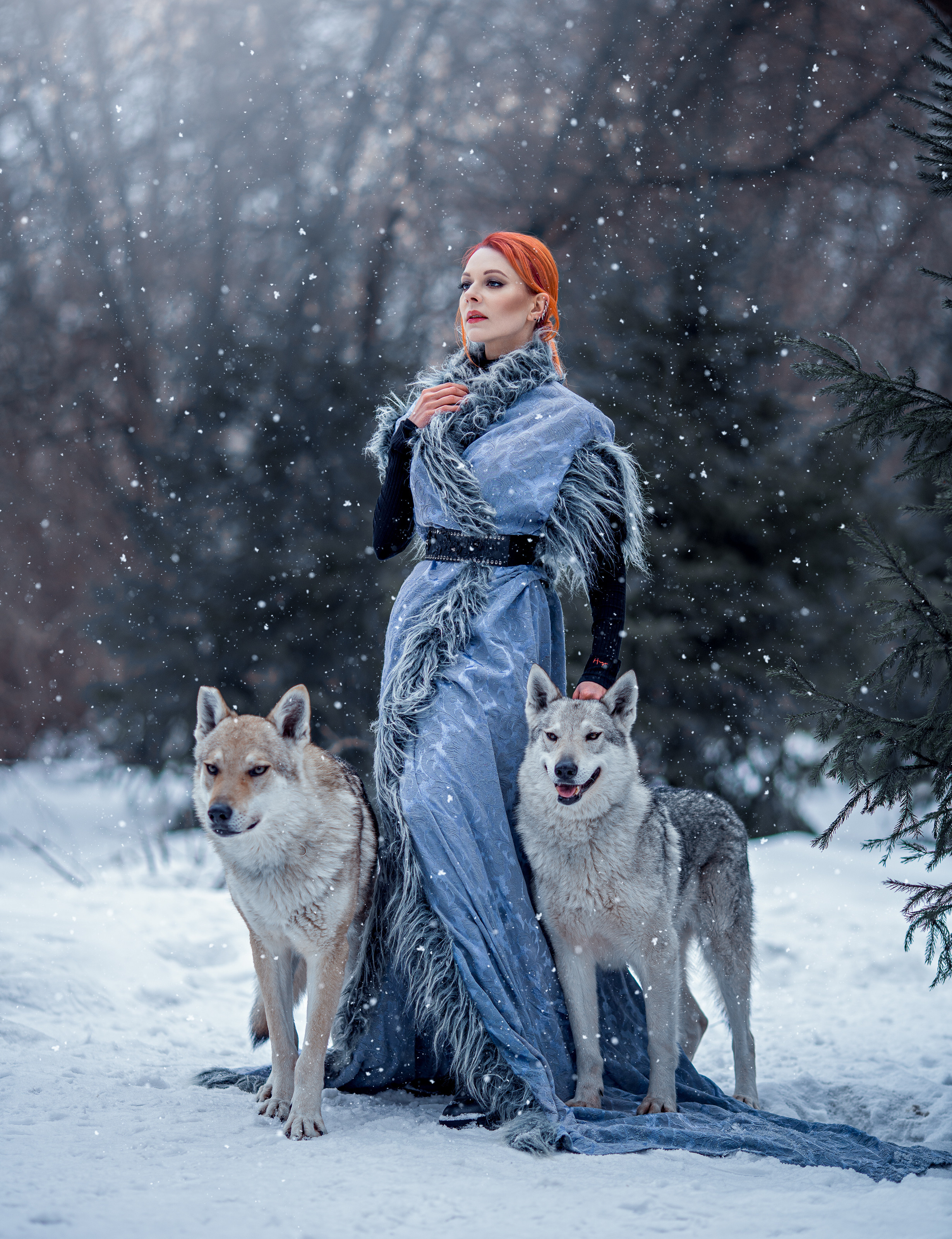 Волки. Профессиональный фотограф в Москве Марина Григорьева