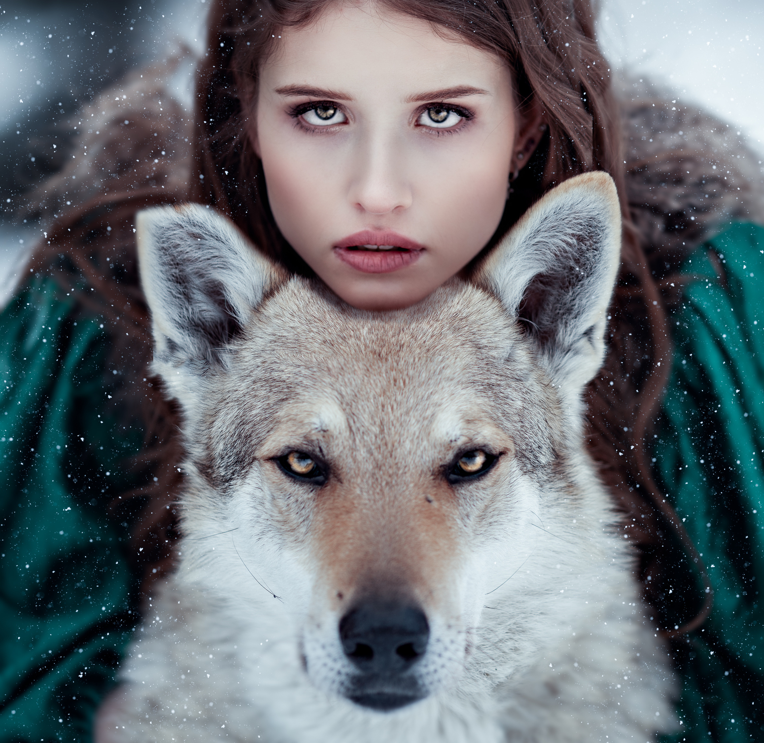 Волки. Профессиональный фотограф в Москве Марина Григорьева