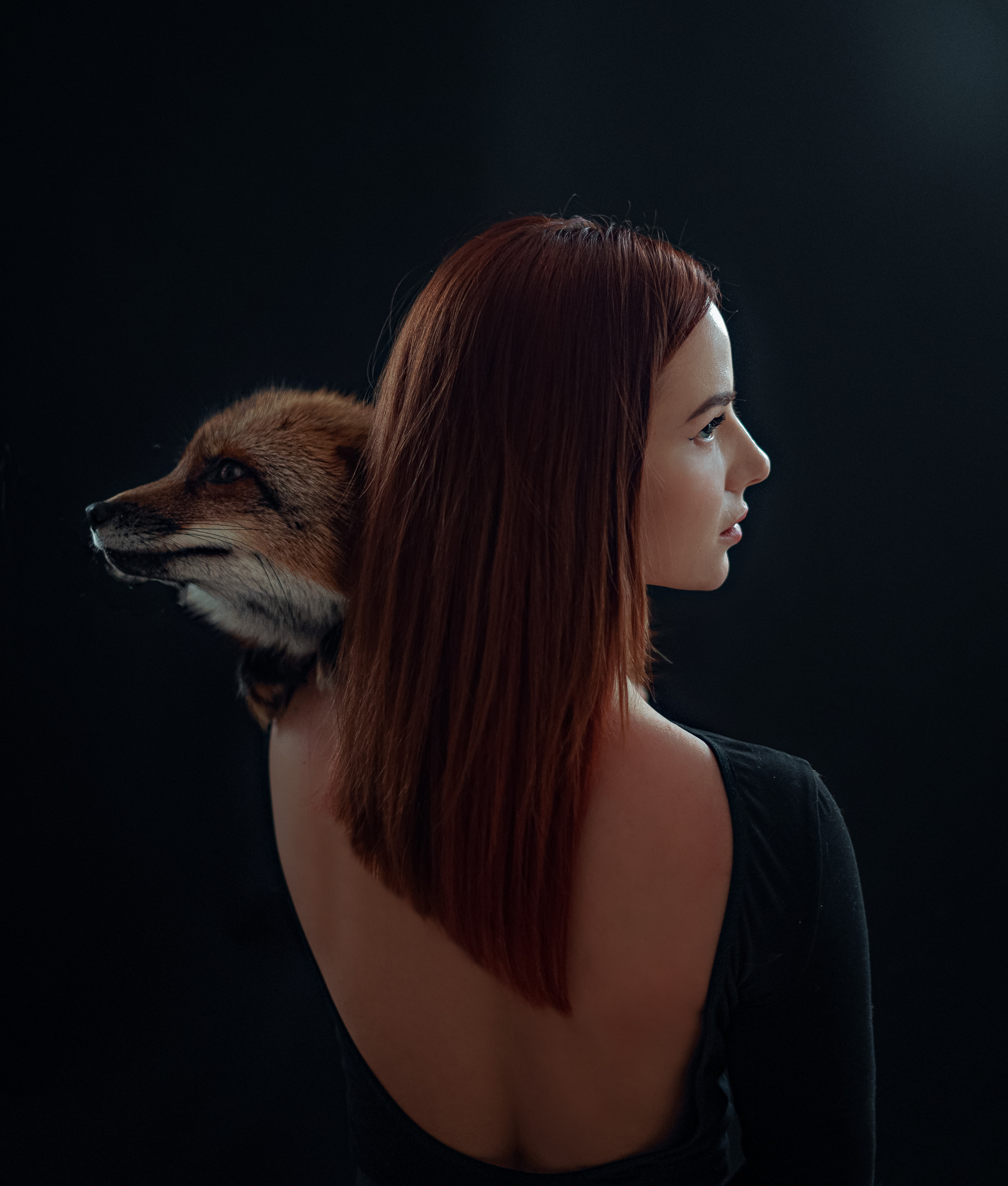 Лиса. Профессиональный фотограф в Москве Марина Григорьева