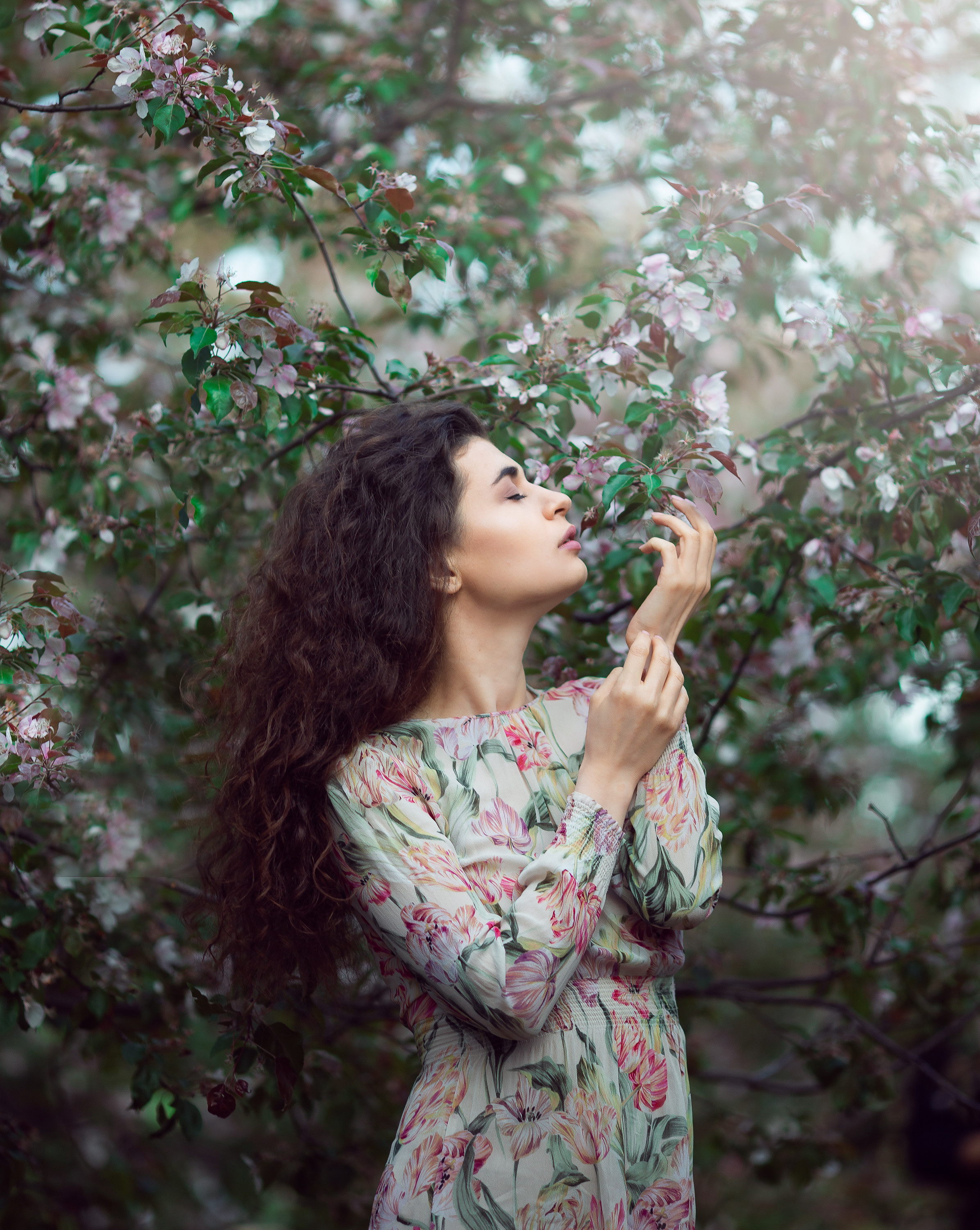 Цветение садов. Профессиональный фотограф в Москве Марина Григорьева