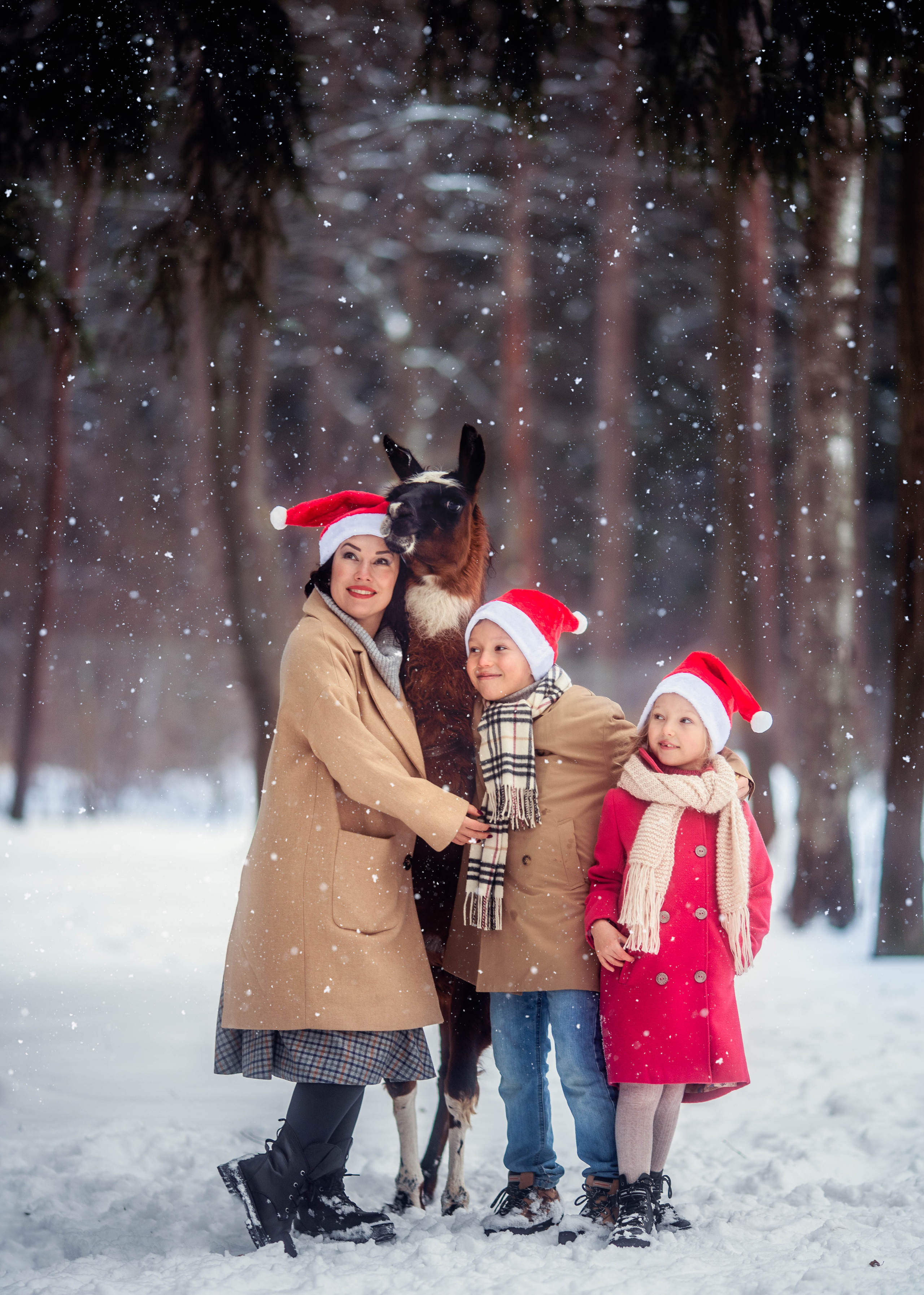 Разные животные. Профессиональный фотограф в Москве Марина Григорьева