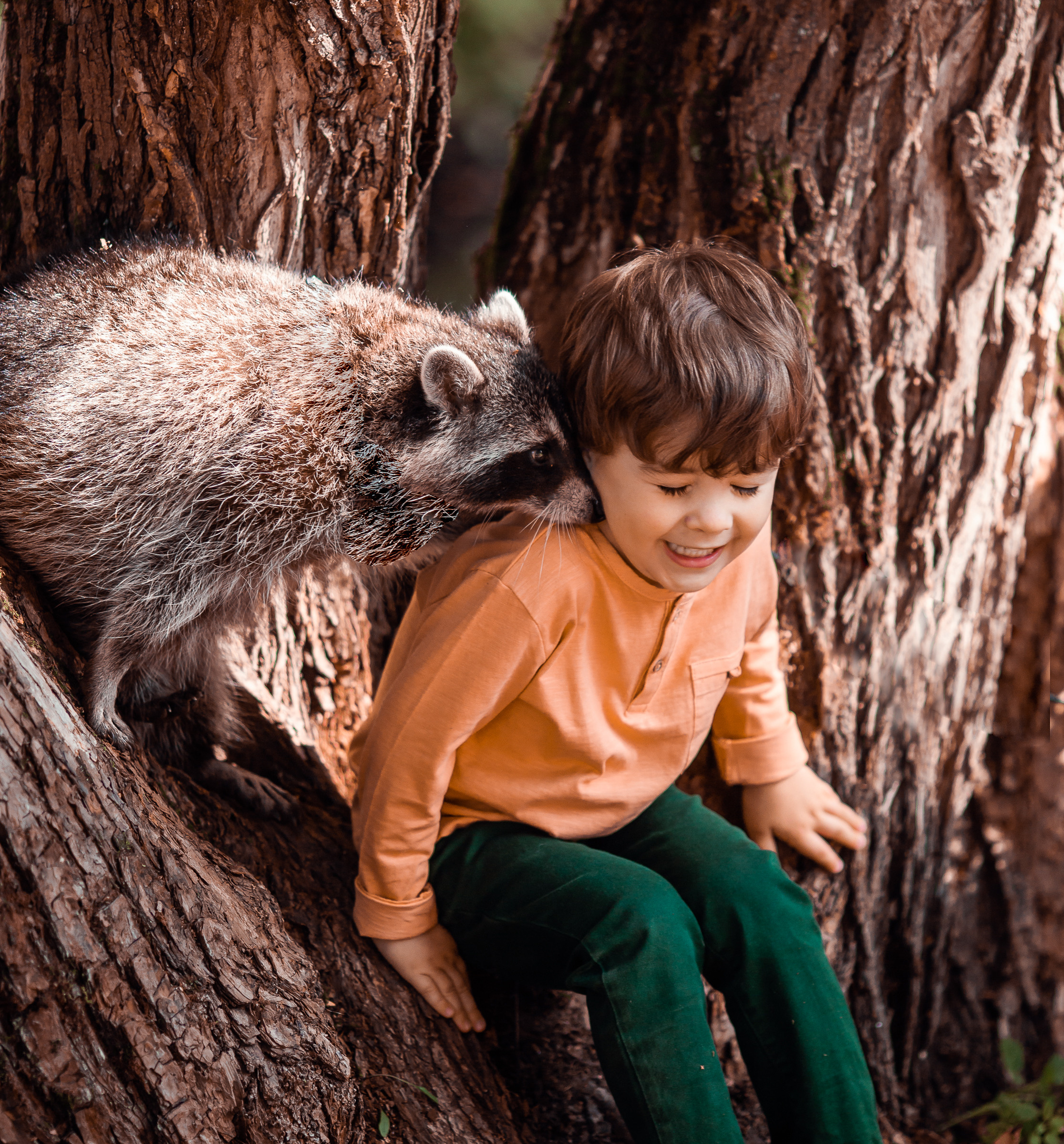 Енот. Профессиональный фотограф в Москве Марина Григорьева