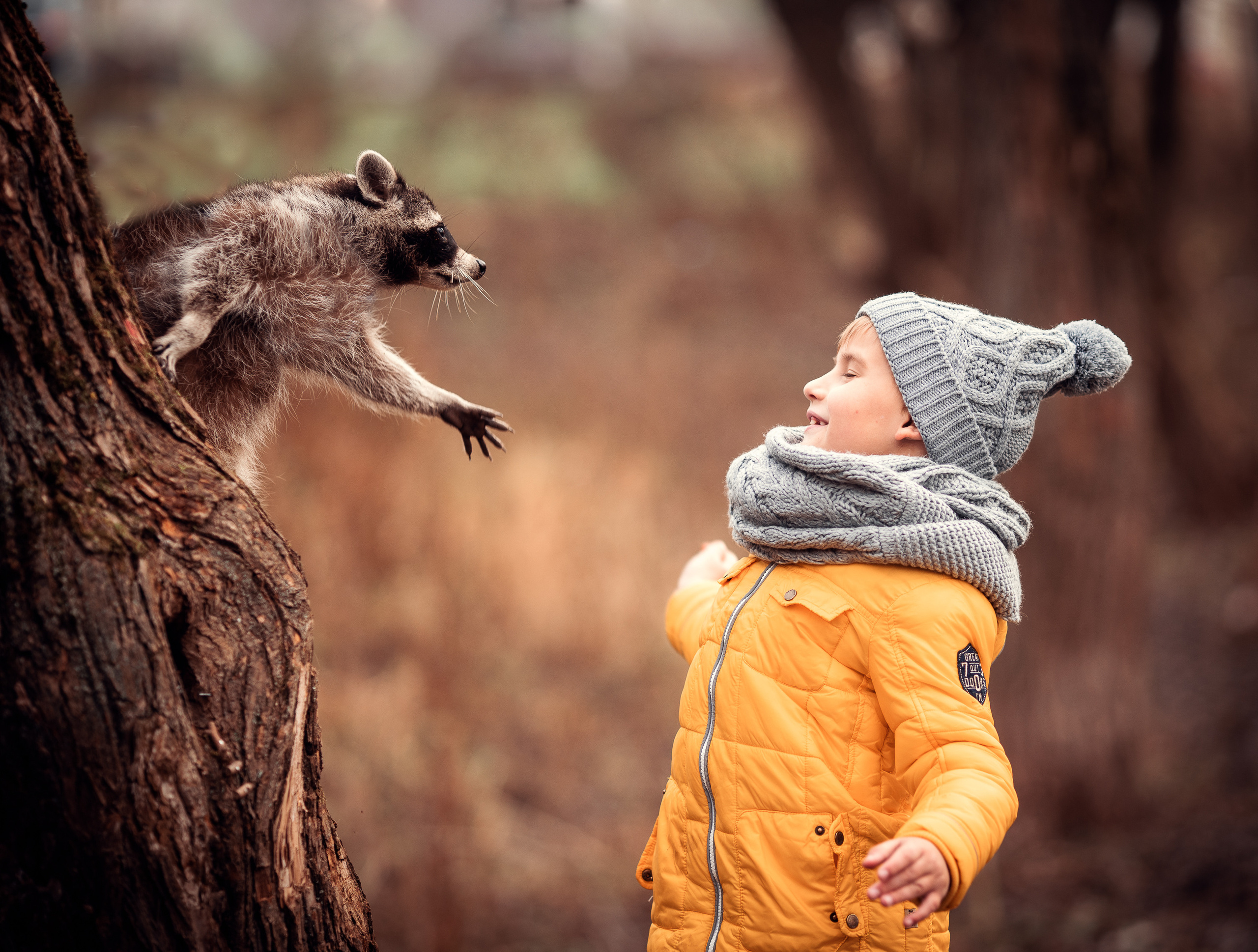Енот. Профессиональный фотограф в Москве Марина Григорьева
