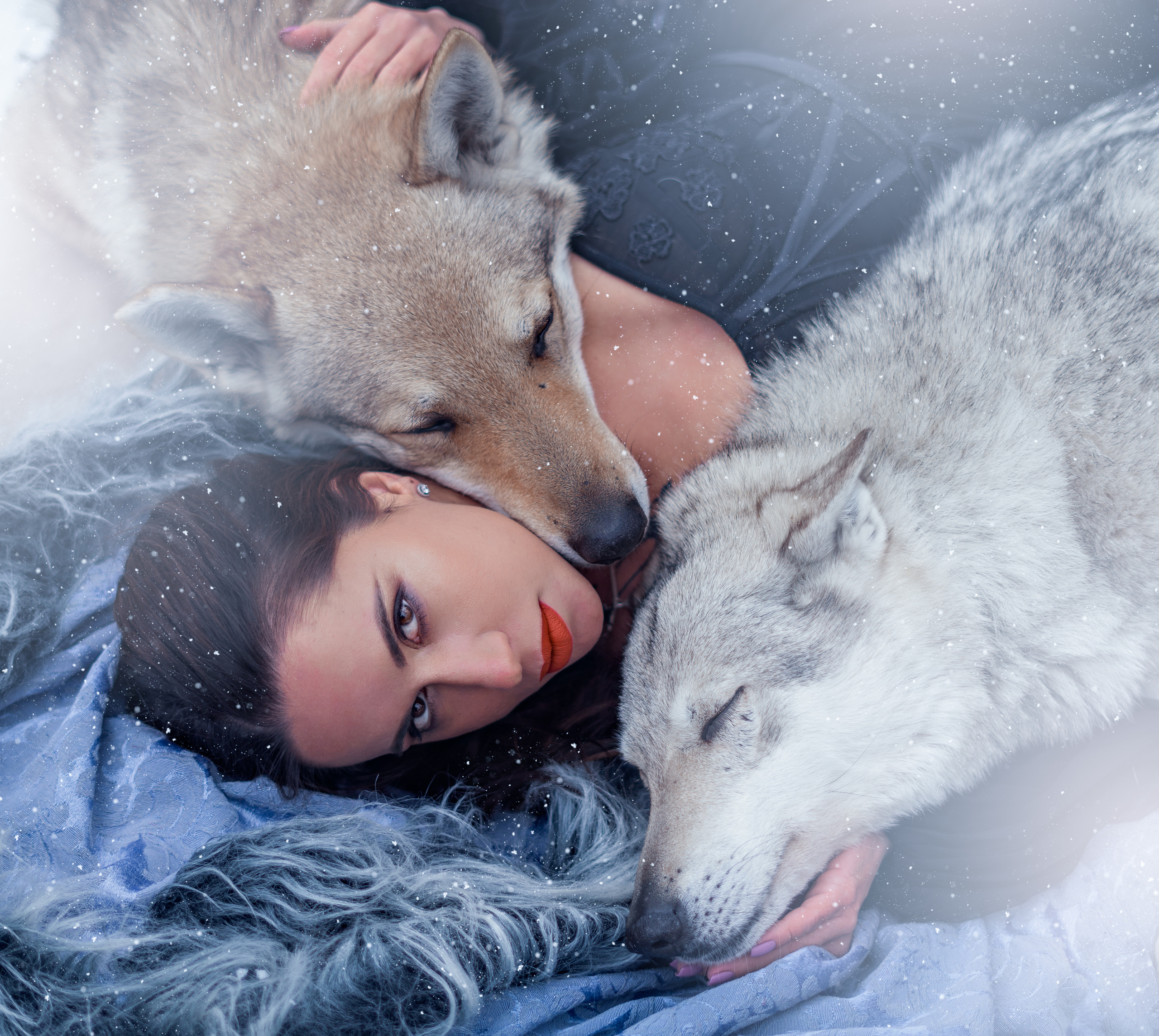 Волки. Профессиональный фотограф в Москве Марина Григорьева