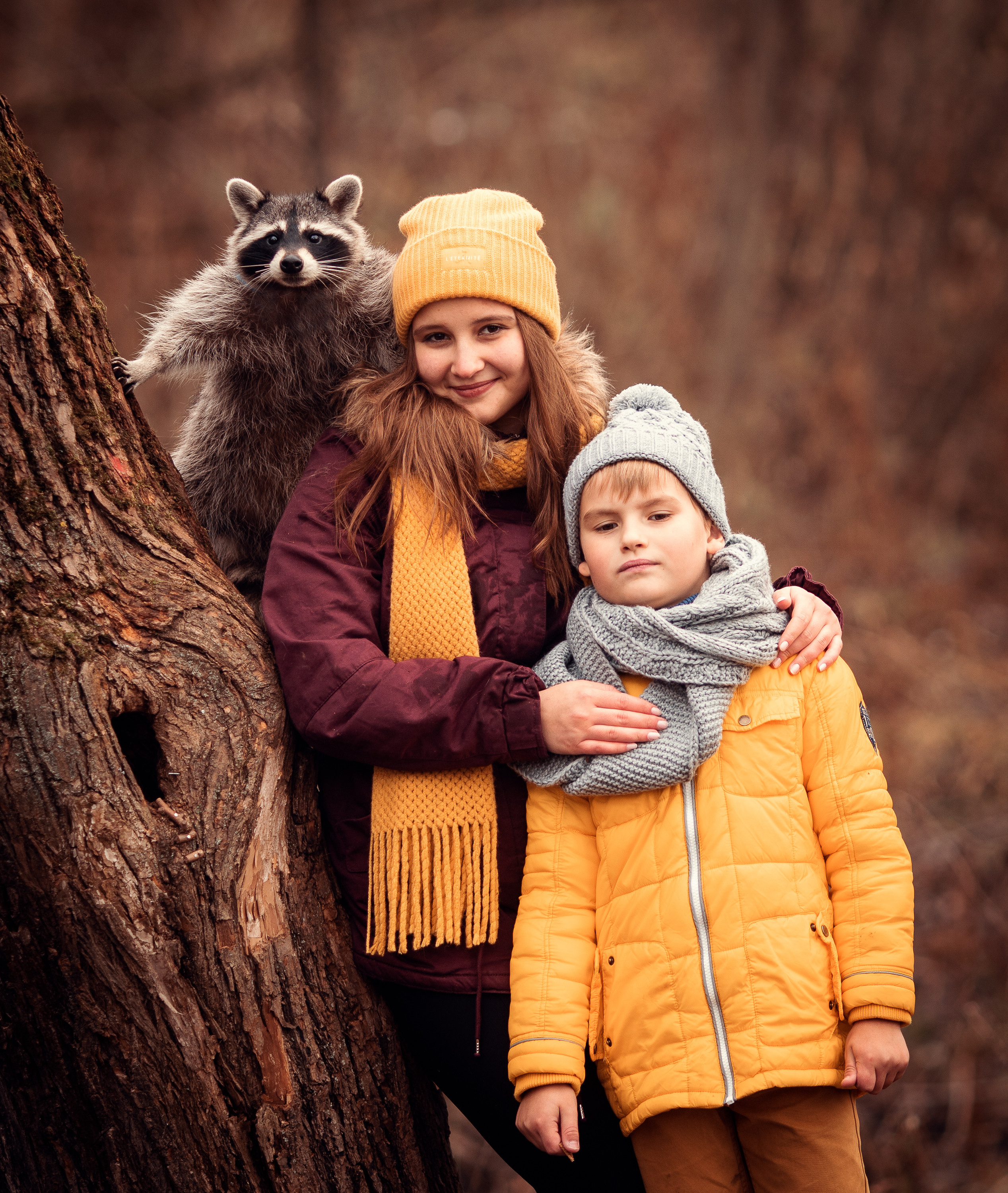 Енот. Профессиональный фотограф в Москве Марина Григорьева