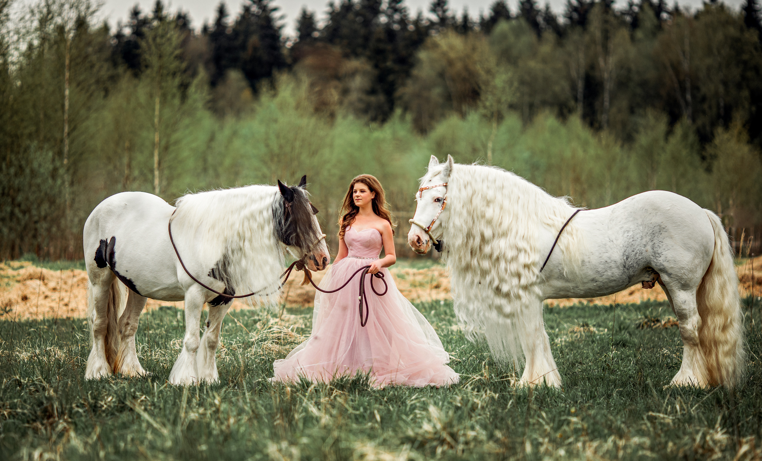 Romance. Профессиональный фотограф в Москве Марина Григорьева