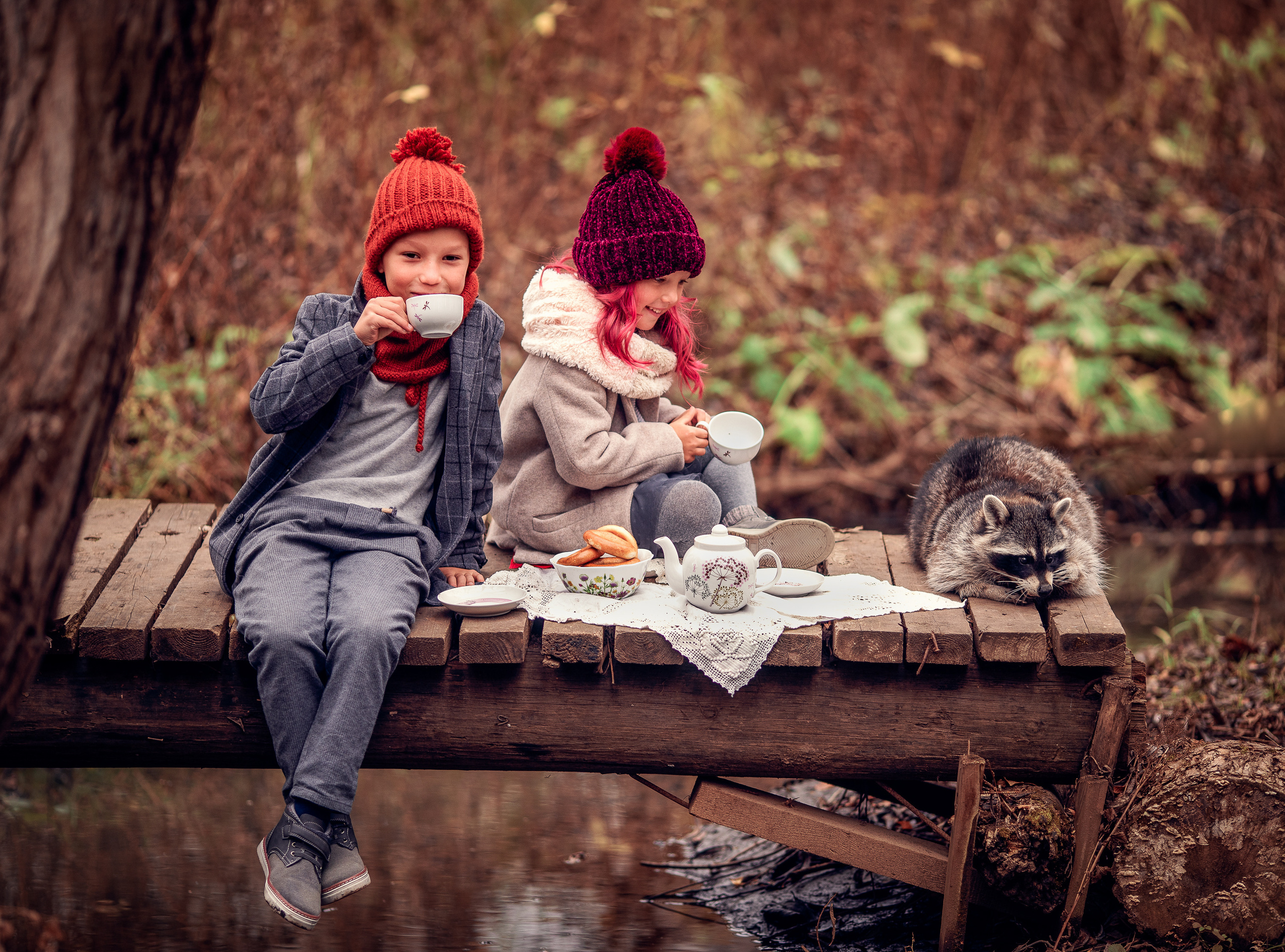 Енот. Профессиональный фотограф в Москве Марина Григорьева