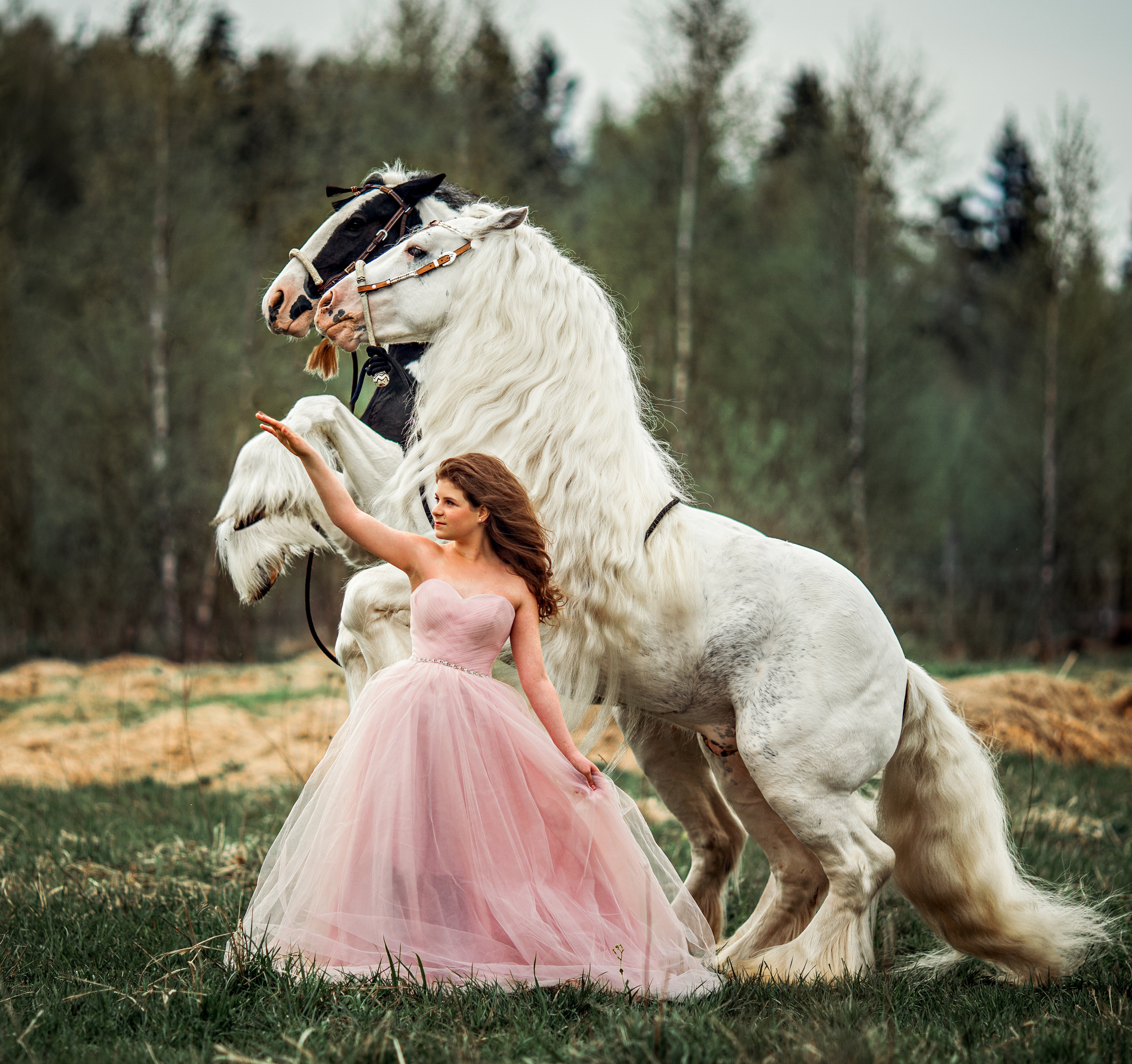 Romance. Профессиональный фотограф в Москве Марина Григорьева