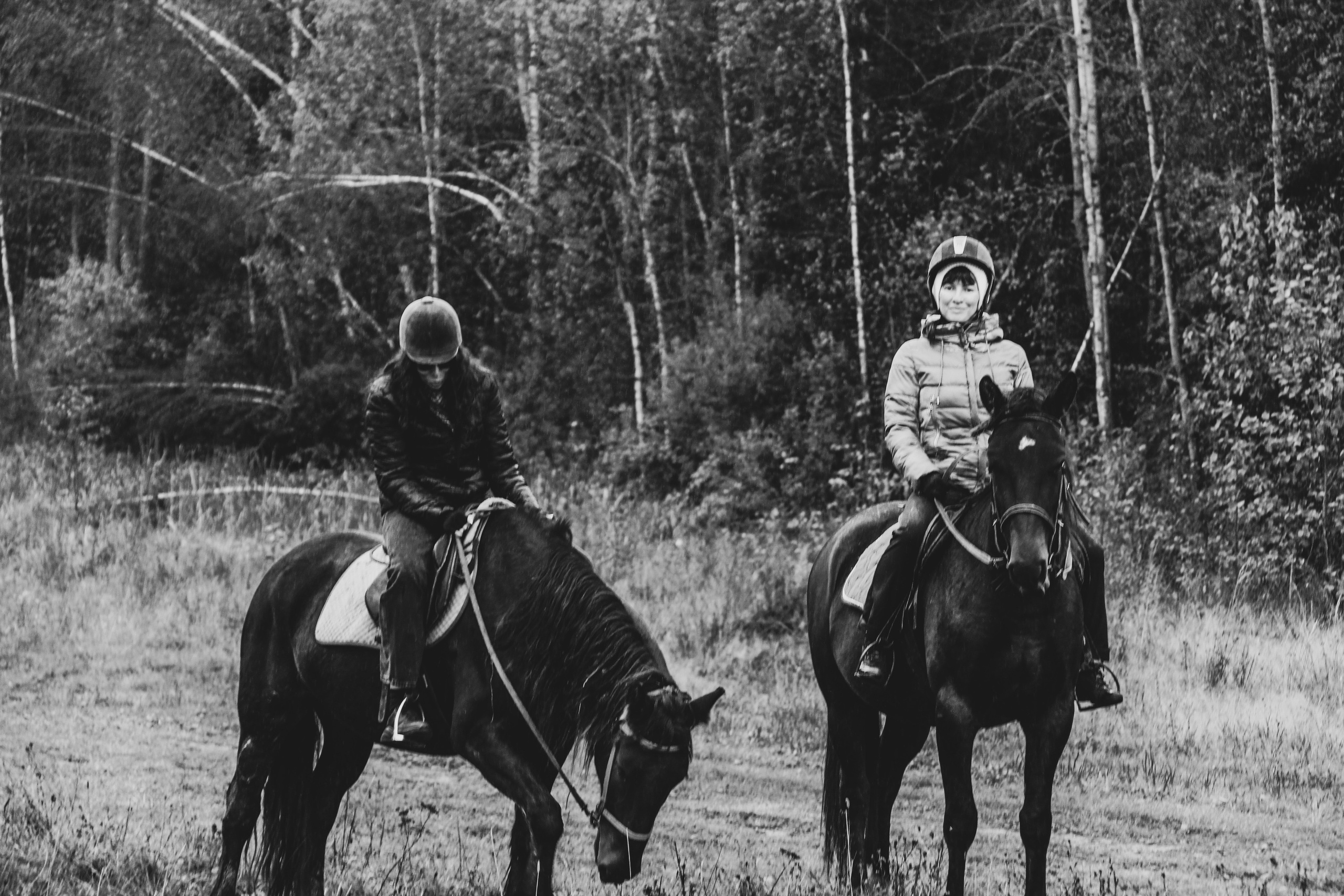 Лошадинг | 27.09.2025. Галерея Фантим