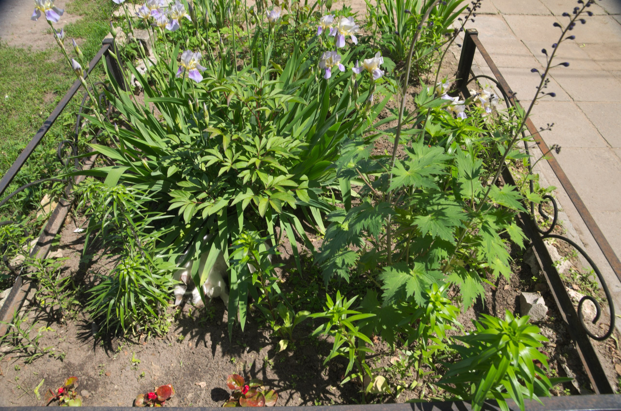 Таруса+Серпухов | 18.06.2017. Галерея Фантим