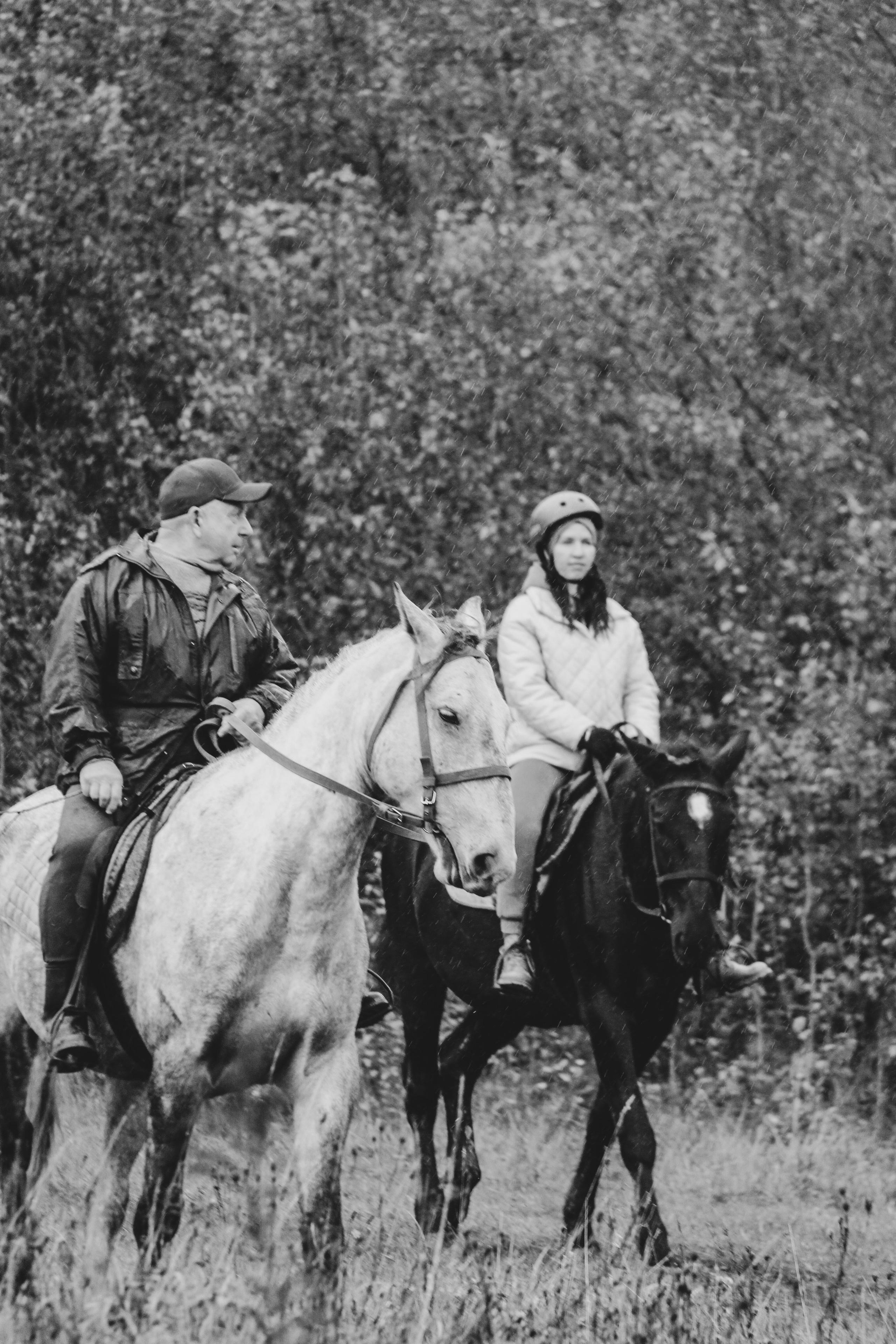 Лошадинг | 27.09.2025. Галерея Фантим