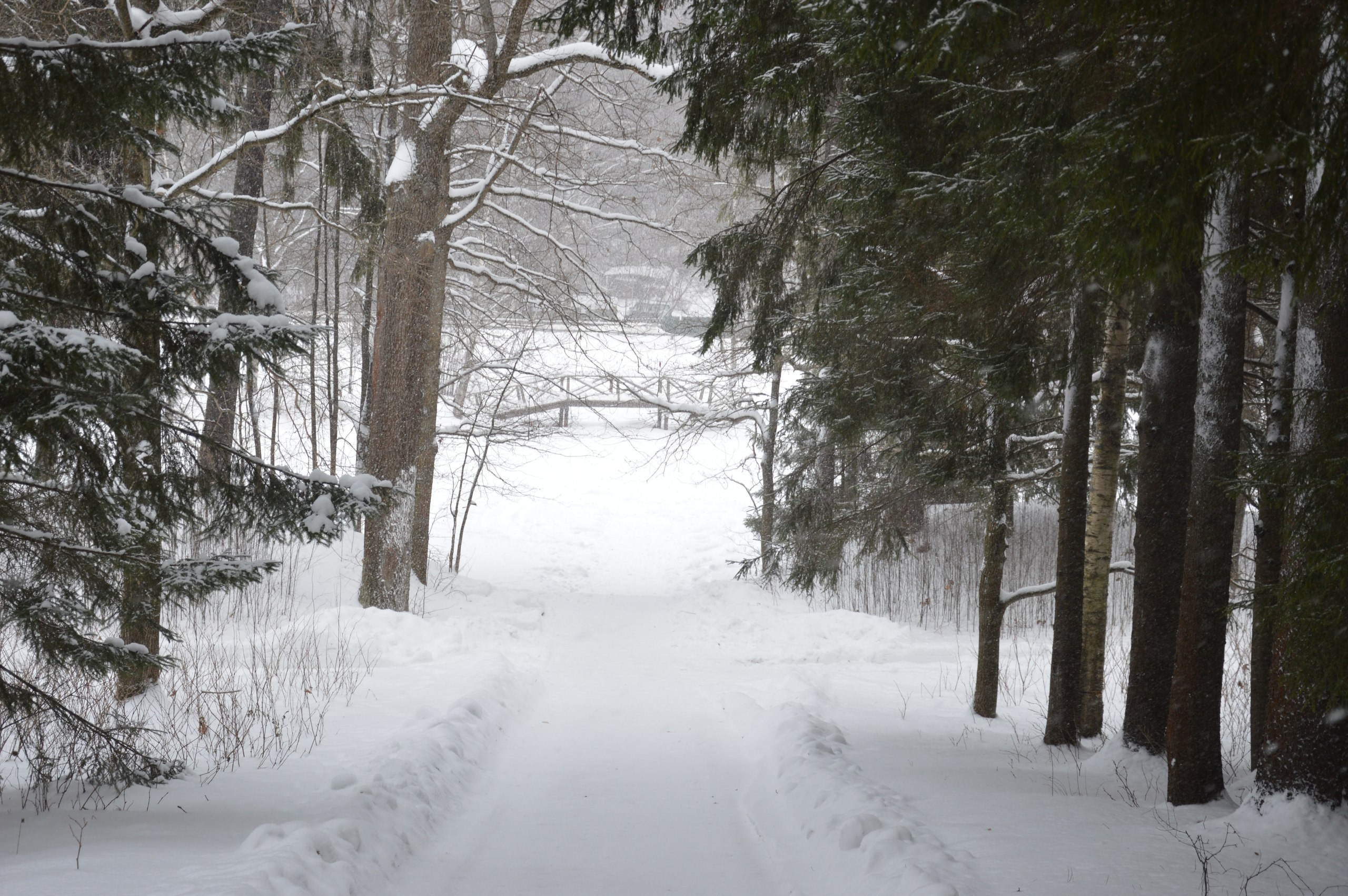 Сергиев Посад | 11.12.2016. Галерея Фантим