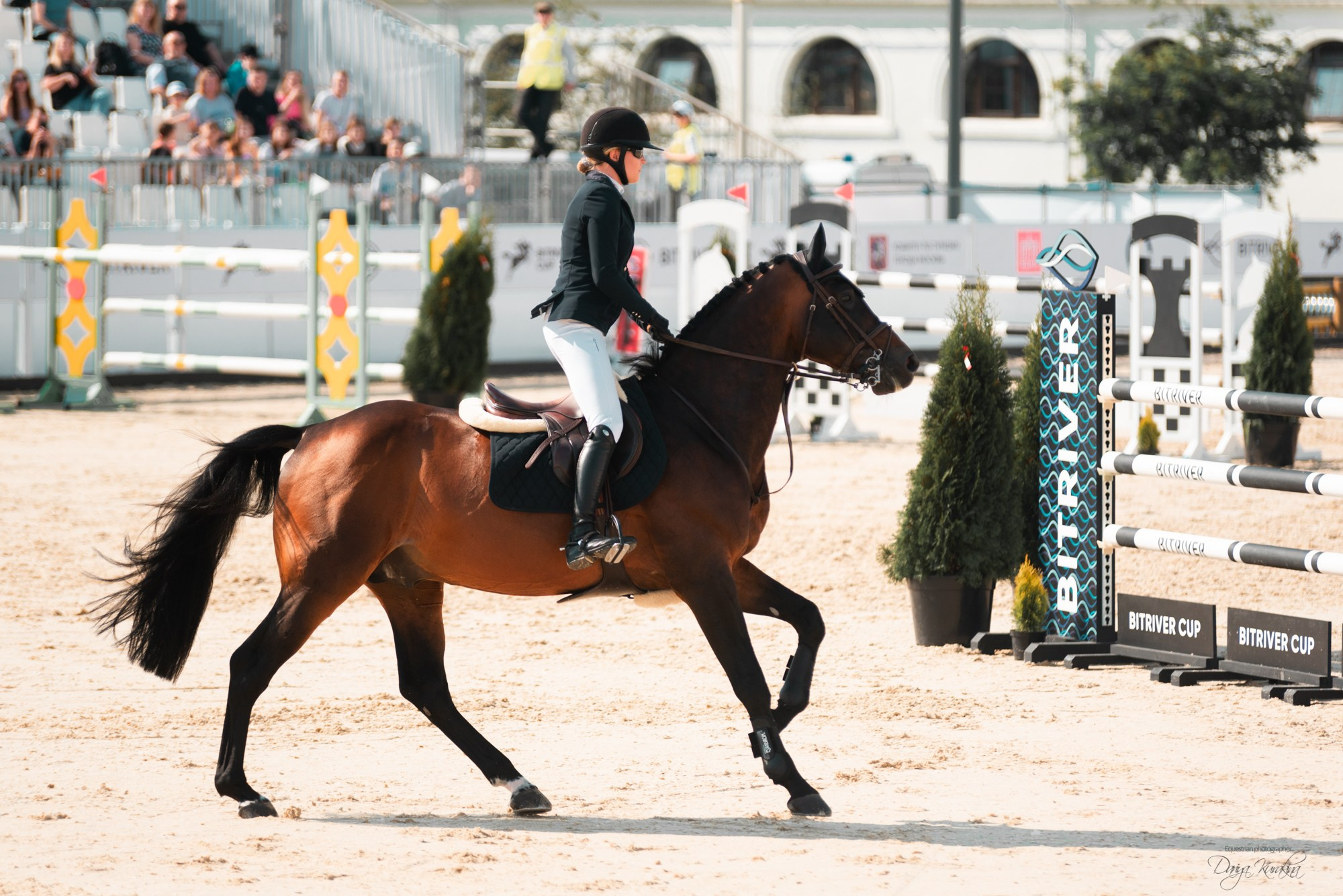 BITRIVER CUP 2023. Конный фотограф Куракина Дарья • Фотосессии с лошадьми