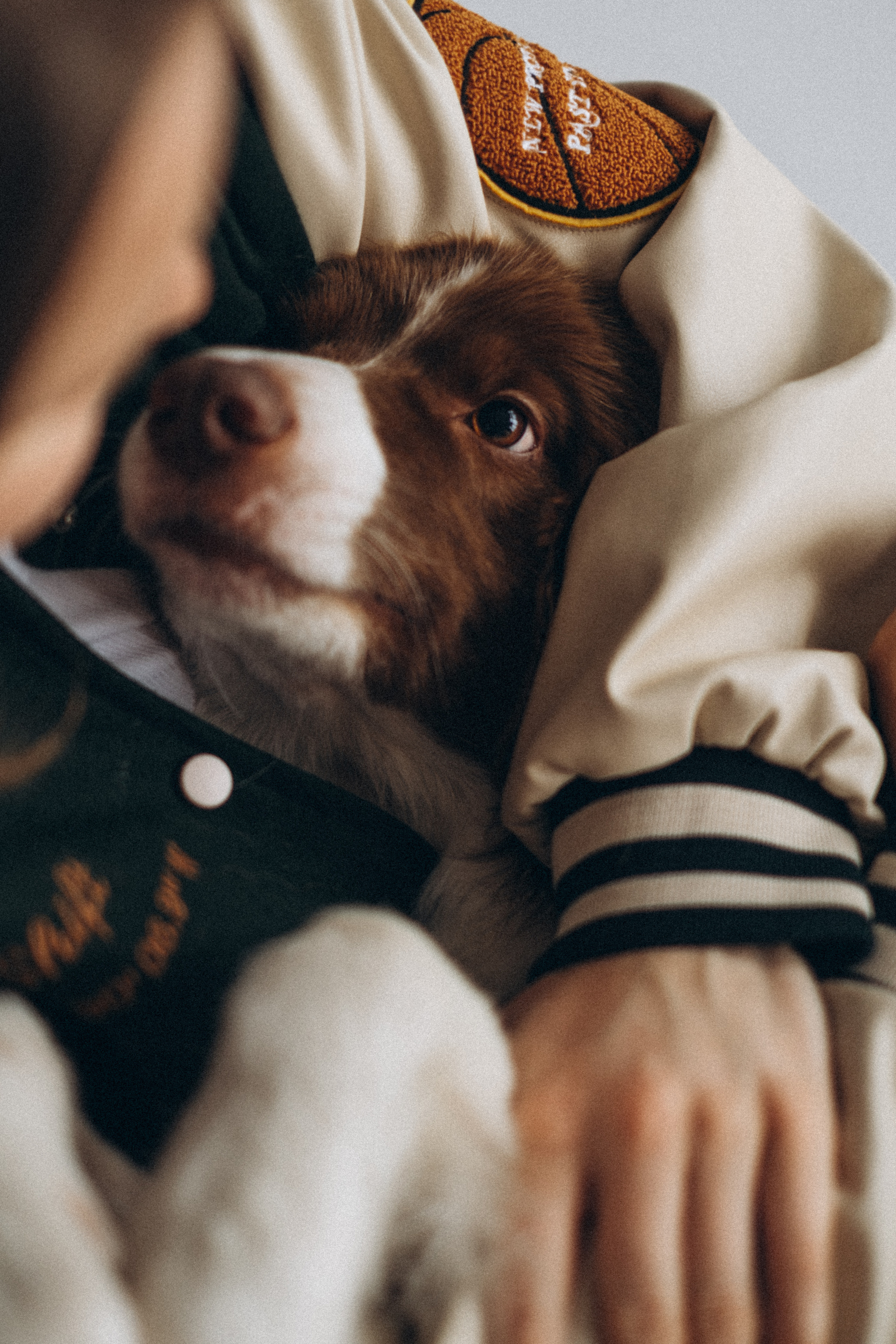 Ксюша, Буми и Ким. Семейный фотограф и анималист в Москве Анна Иванова