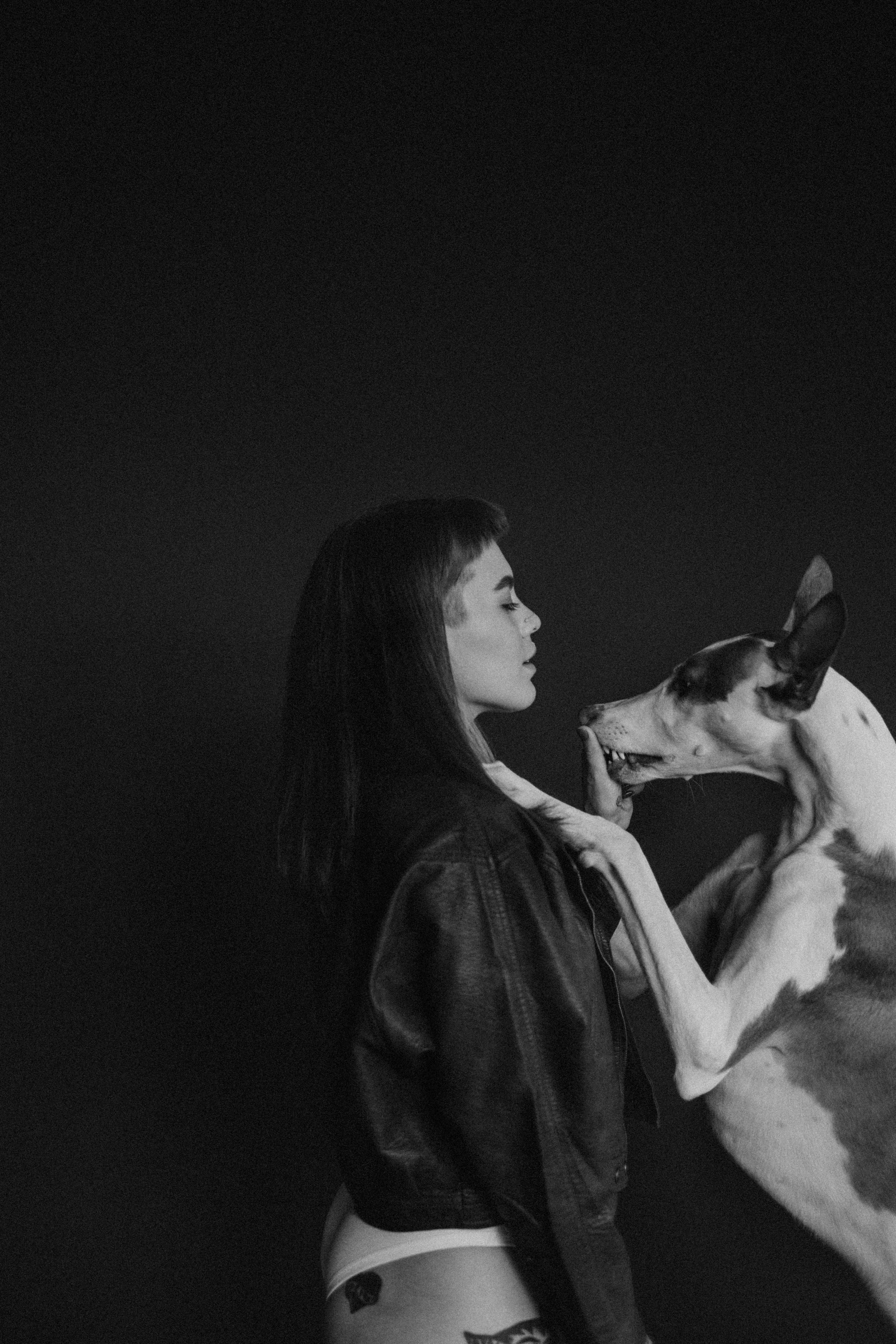 Мироша и её Хантер, Рик и Тэя. Семейный фотограф и анималист в Москве Анна Иванова