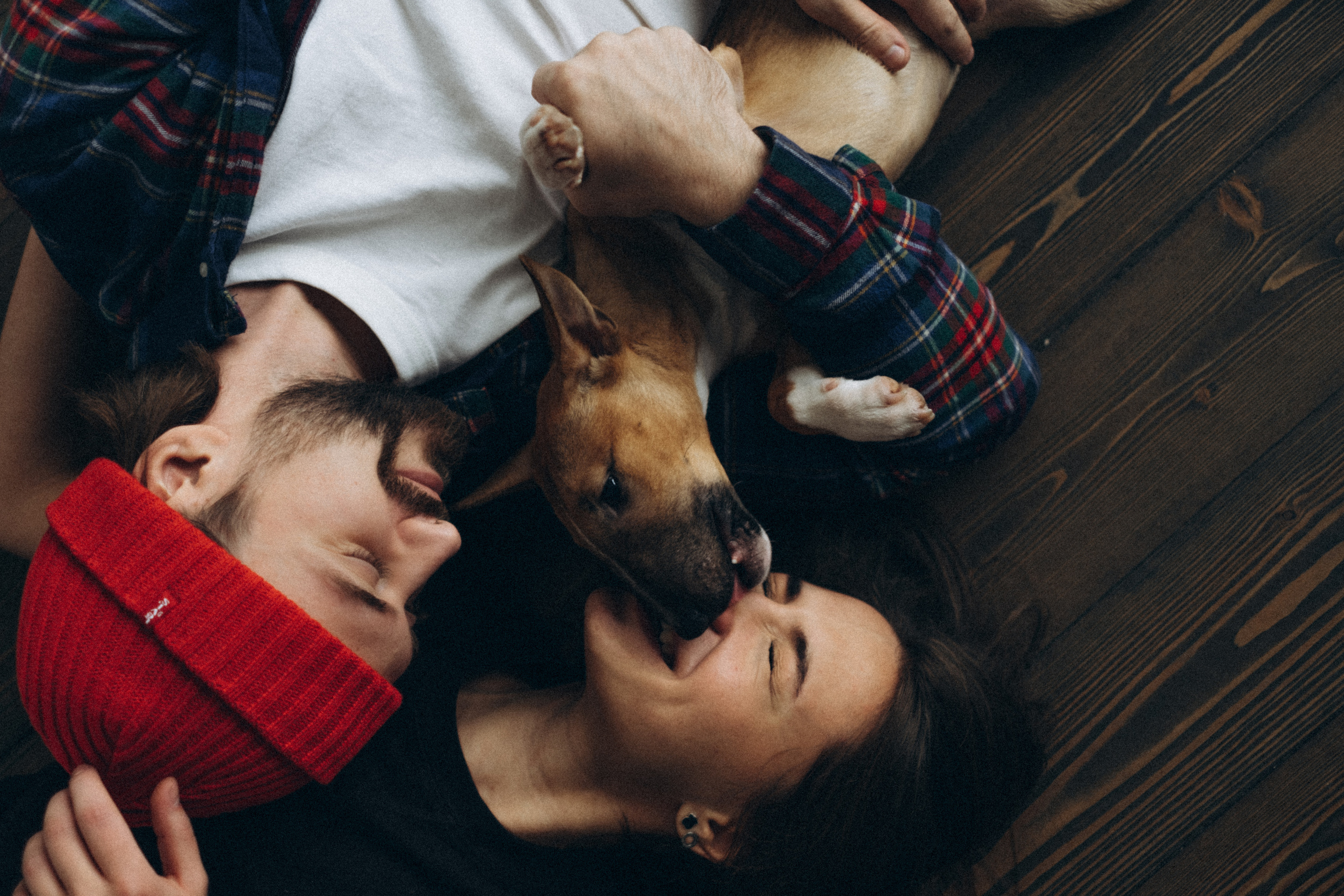 Тимофей, Людмила и Банди. Семейный фотограф и анималист в Москве Анна Иванова