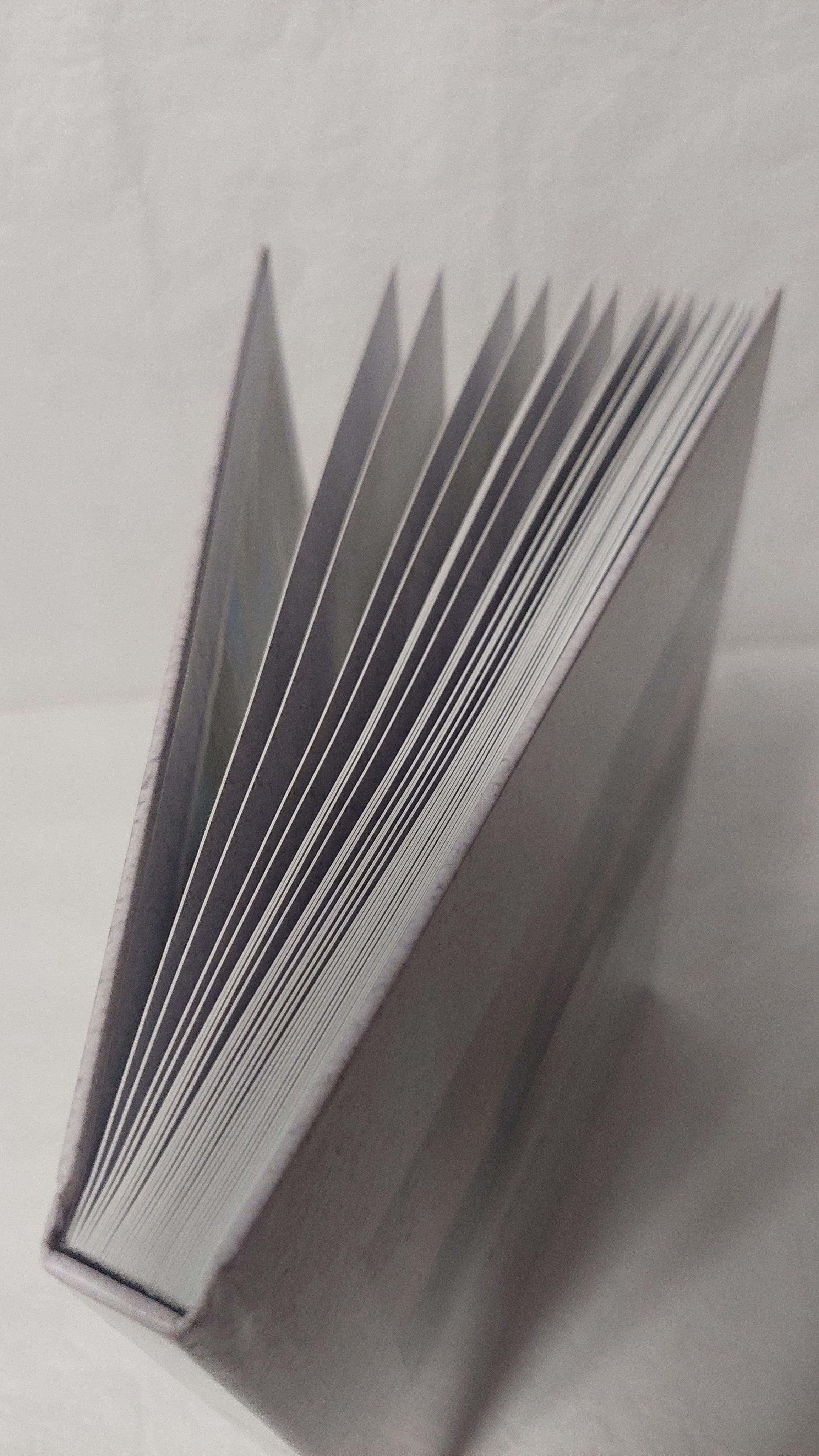 Московская Сага. Прогулка на катере. Fotounata.ru