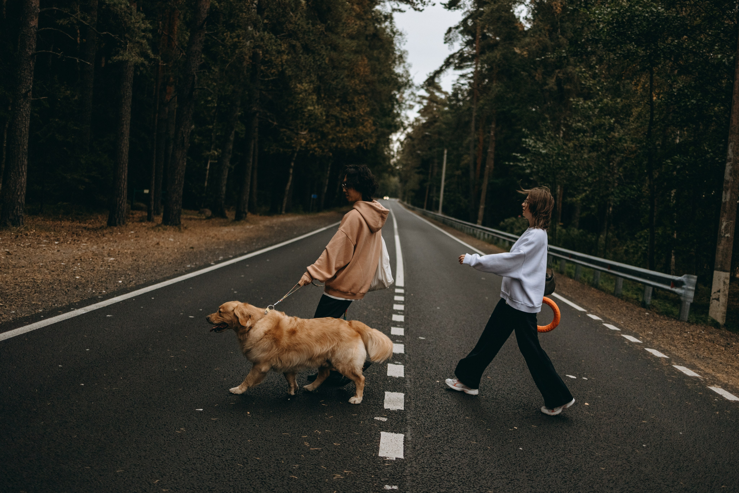 Фоси и его семьи. Фотограф — Анималист | Санкт-Петербург