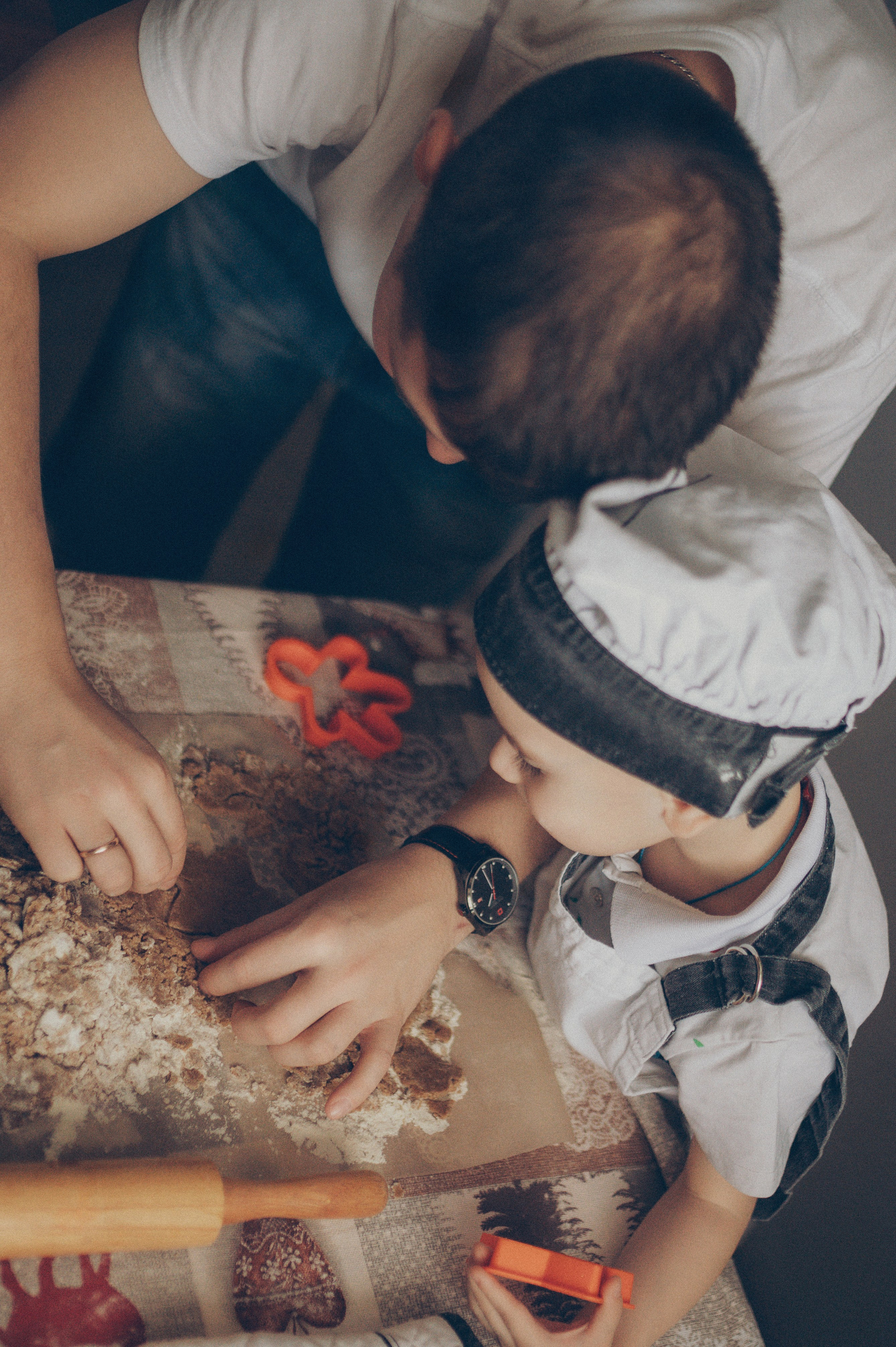 Поворята Миша и Тимофей (домашняя). Фотограф, г. Лесной Свердловской области