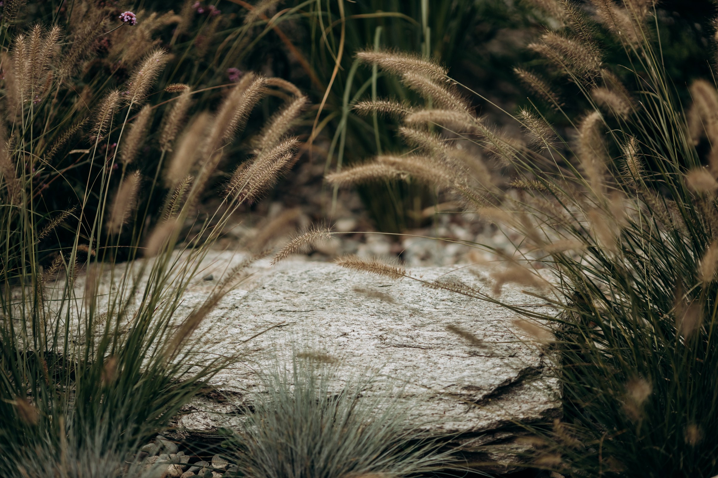 Съёмка для компании INTEQ HAUS из Москвы. Фотограф в Крыму — Федор зайцев. Свадебная, семейная и портретная съёмка. Фотографии для контента, для бизнеса. Корпоративная съёмка