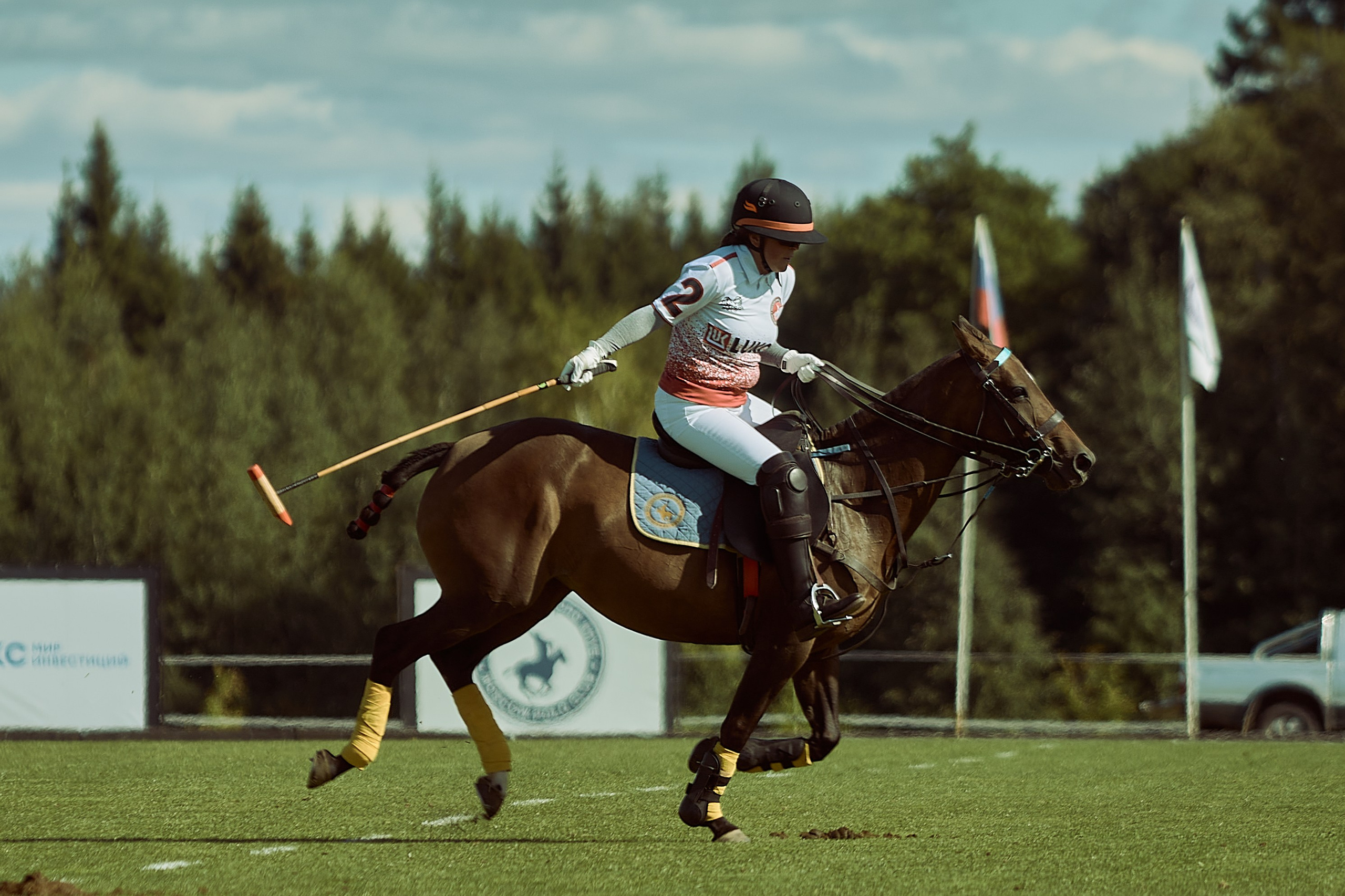 HORSE POLO. Фотограф Наталья Леонова