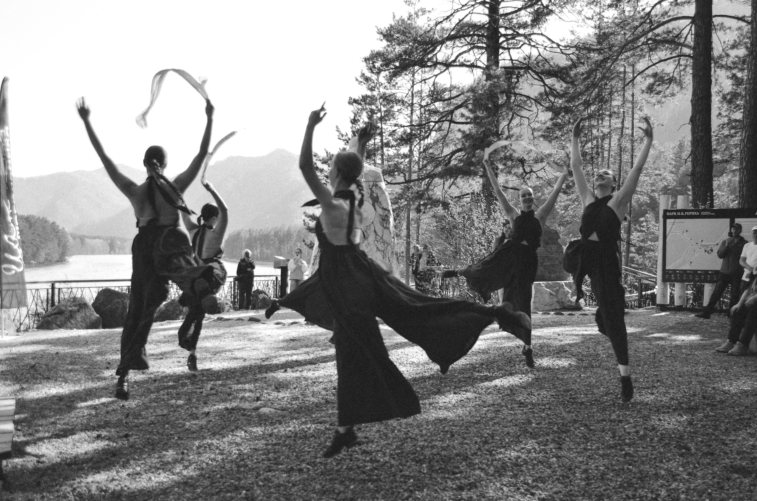 Фестиваль «Цветение Маральника на Алтае 2025». Фоторепортаж. Денисова Аля — фотограф для парных съемок и индивидуальных историй в Барнауле