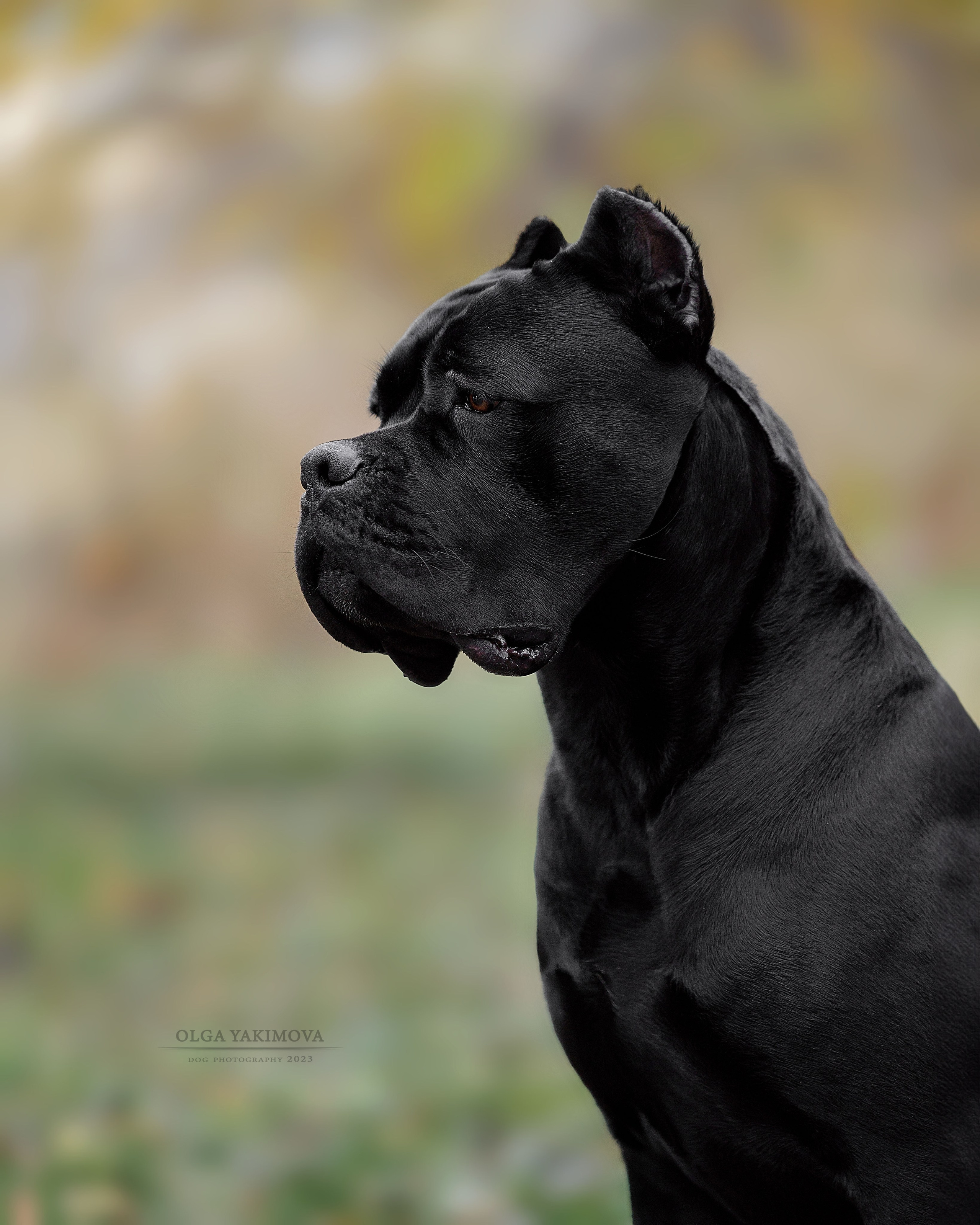 Экстерьер. Фотограф