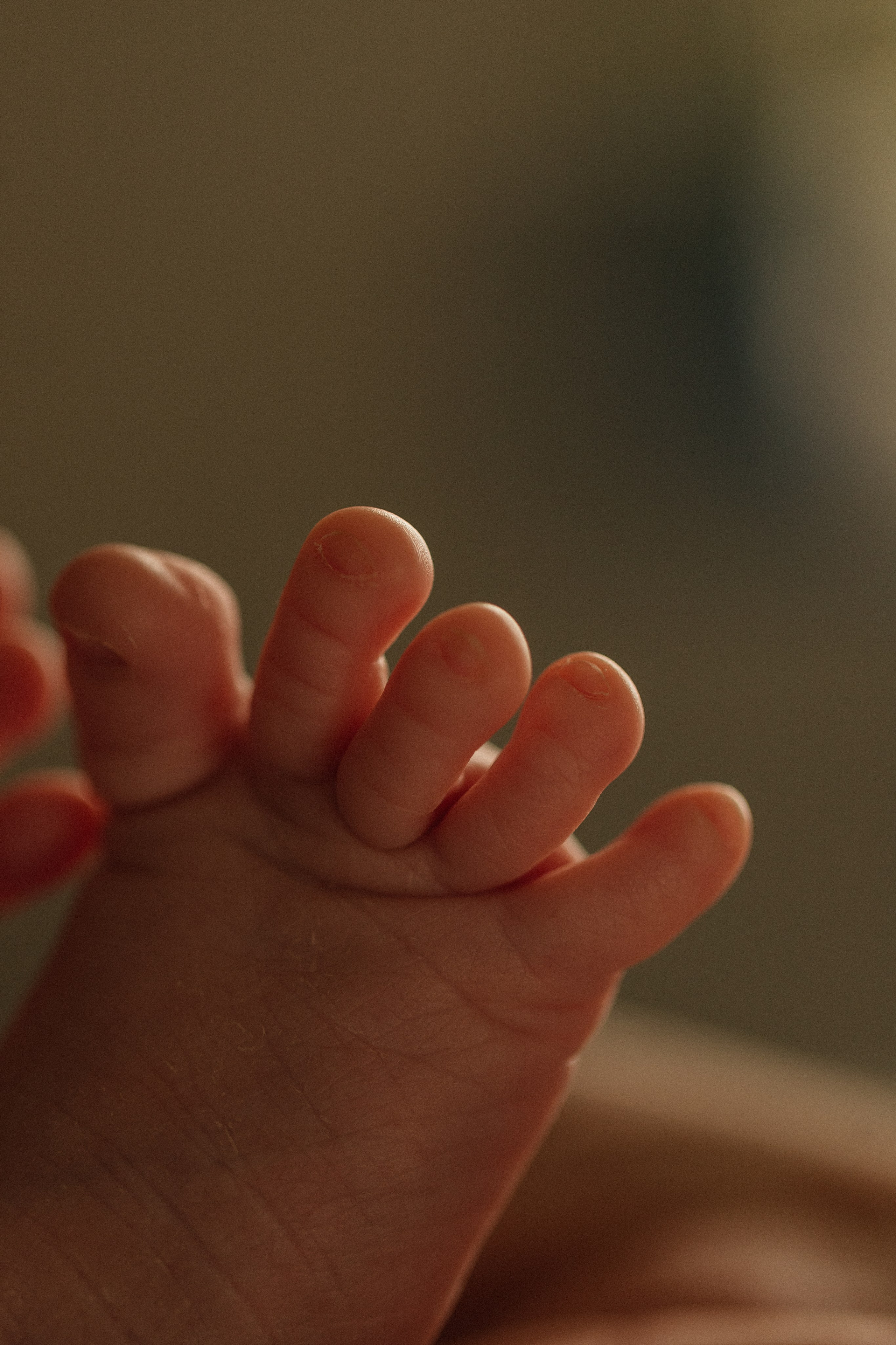 Алексей, Виктория и Артём. Фотограф в Нижнем Новгороде Панфилова Татьяна