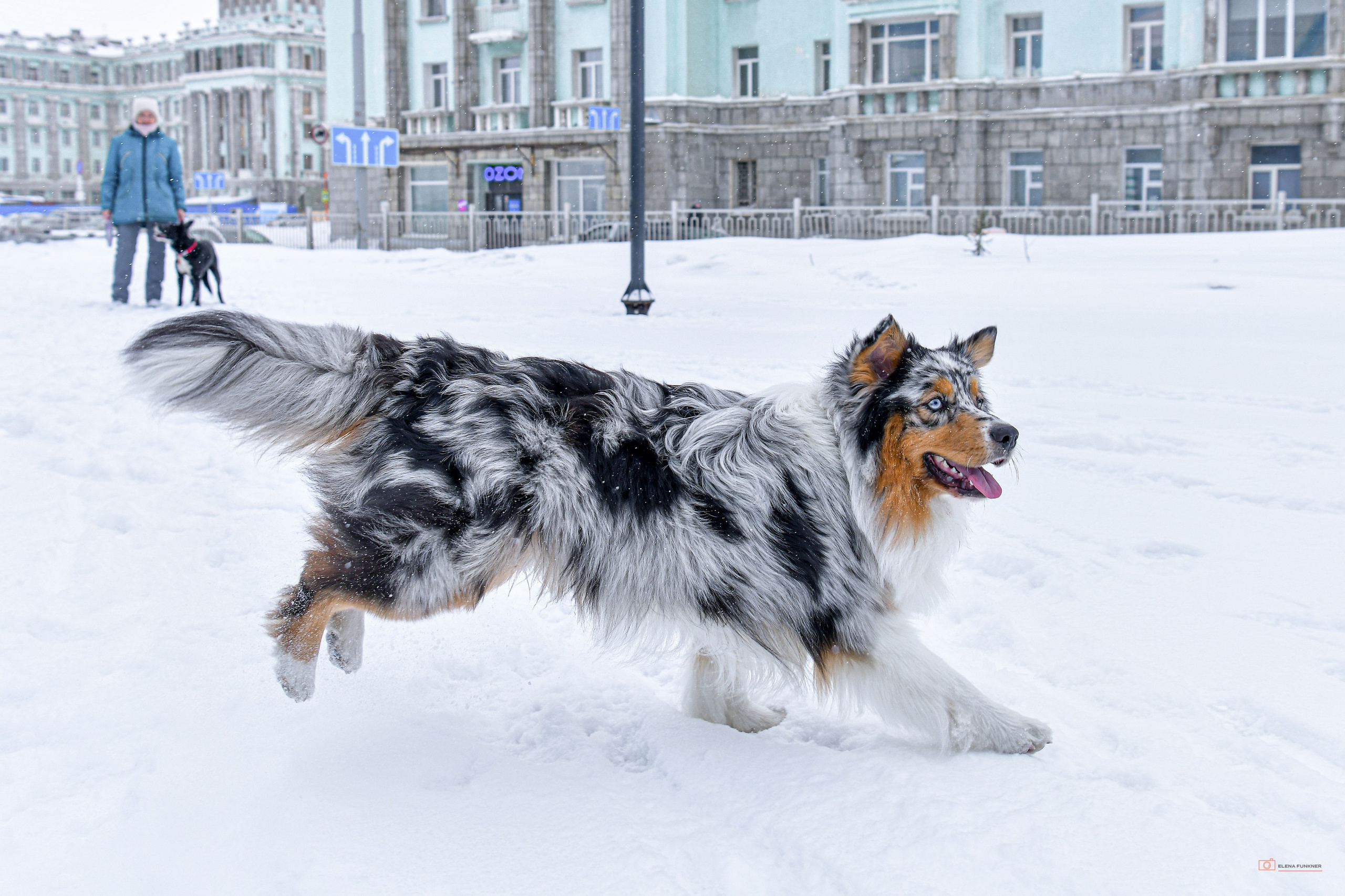 Зима. Свой взгляд через объектив