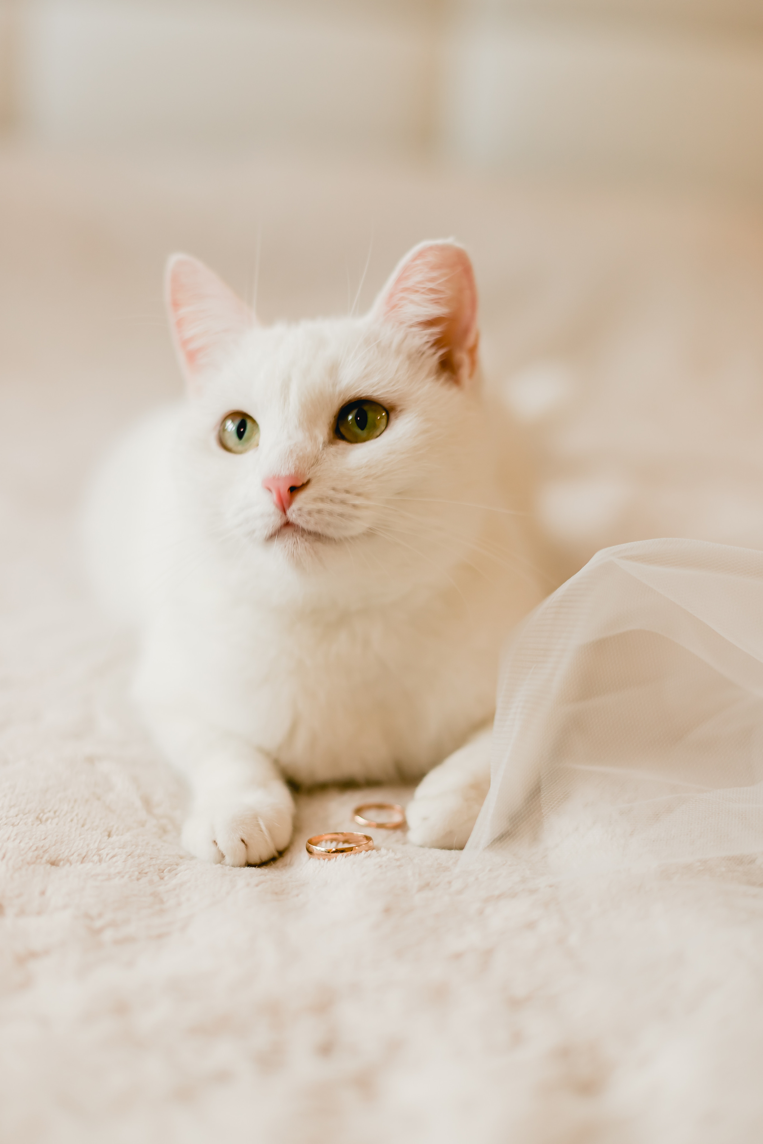 Полина и Алексей. Семейный и свадебный фотограф в Чебоксарах и Новочебоксарске Ирина Юрь