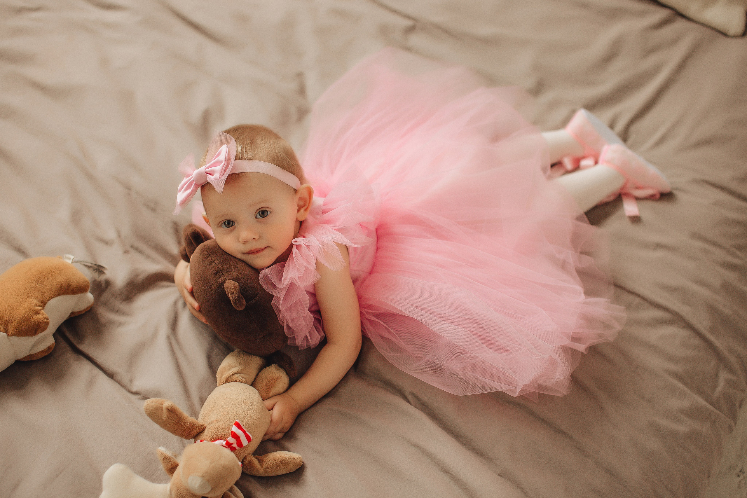 Алина + Коля + Алиса. Студия. Свадебный и семейный фотограф Пушкин Царское Село СПБ Питер Санкт-Петербург и Рязань Ольга Козлова