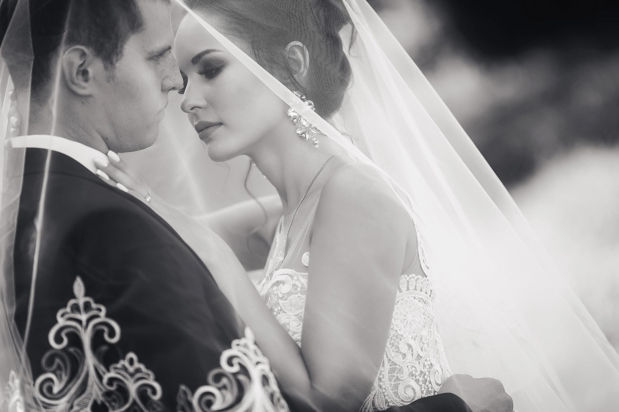 Черно-белая фотография,  жених и невеста под длинной фатой
