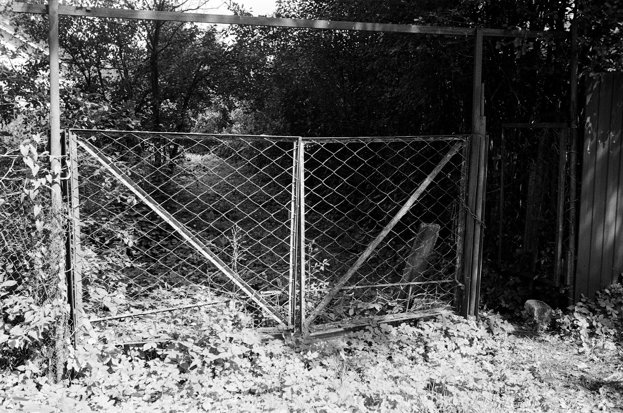 Киржач. Владимирская область. Другой Павел Поцелуев. Фотограф в 2025 году