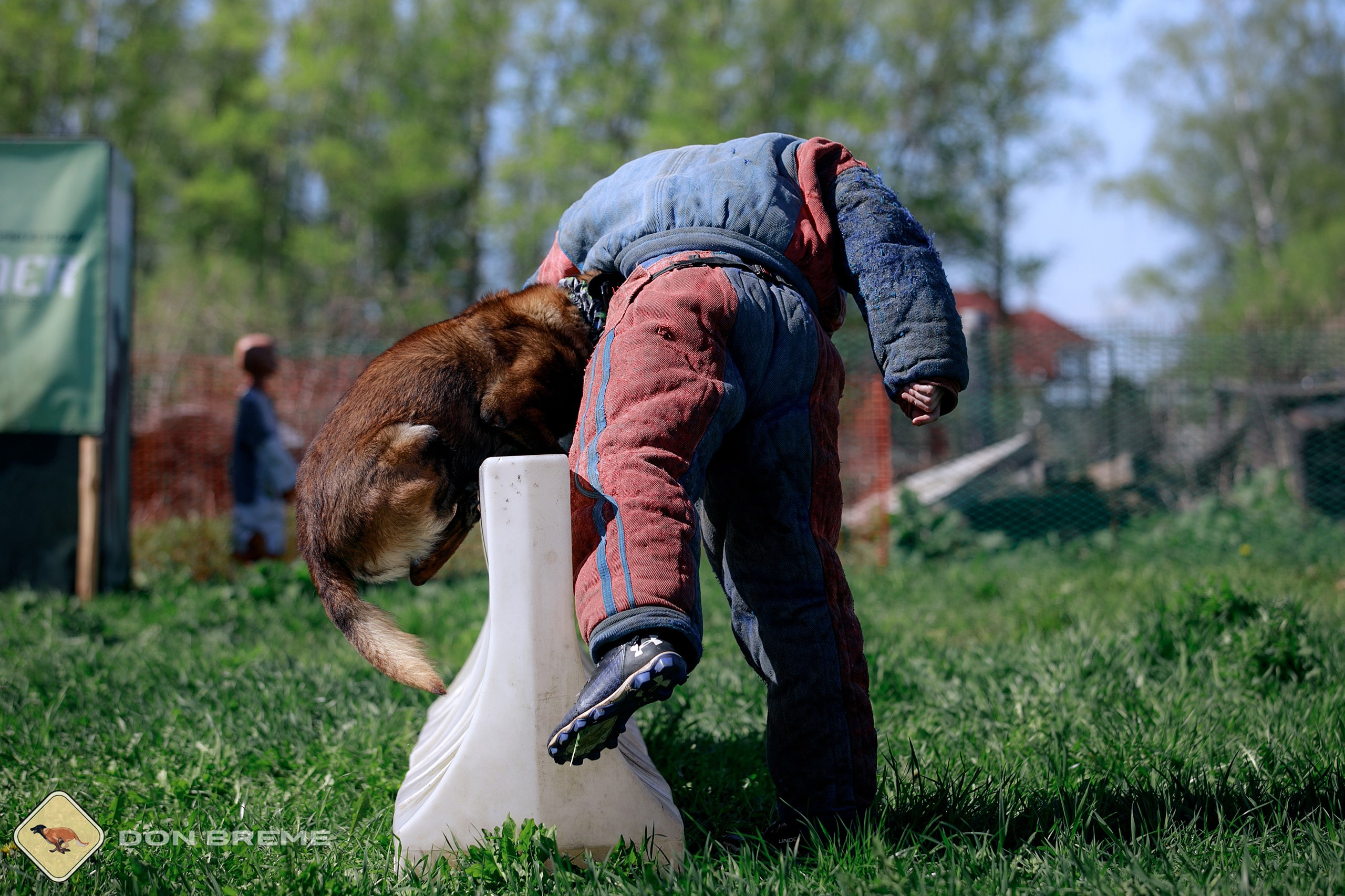 Семинар для фигурантов, день 3. Фотограф-анималист Mary Mart — Москва, Питер