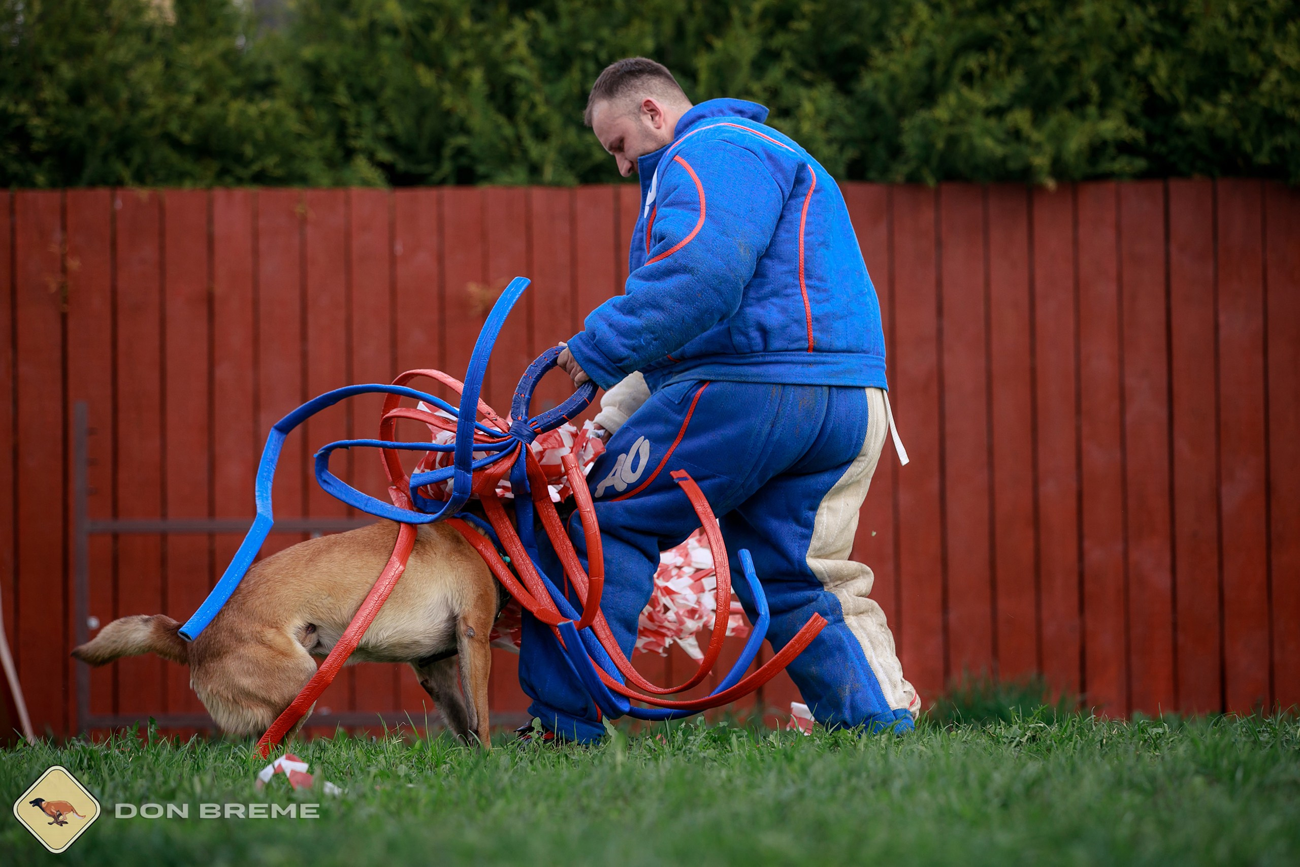 Семинар для фигурантов, день 2. Фотограф-анималист Mary Mart — Москва, Питер
