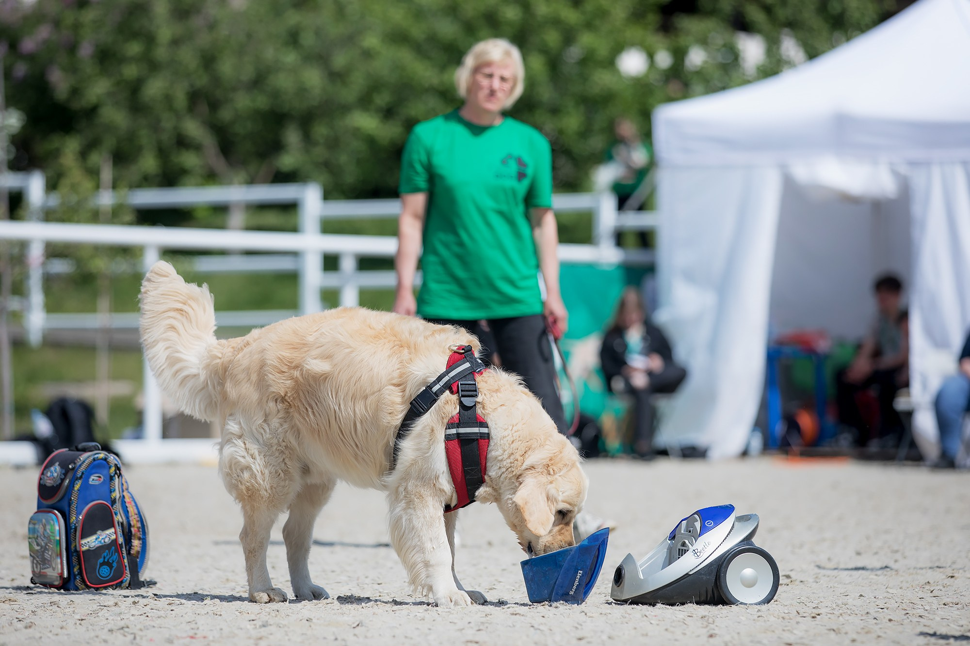 Показательные выступления по NoseWork на выставке «Россия». Фотограф-анималист Mary Mart — Москва, Питер