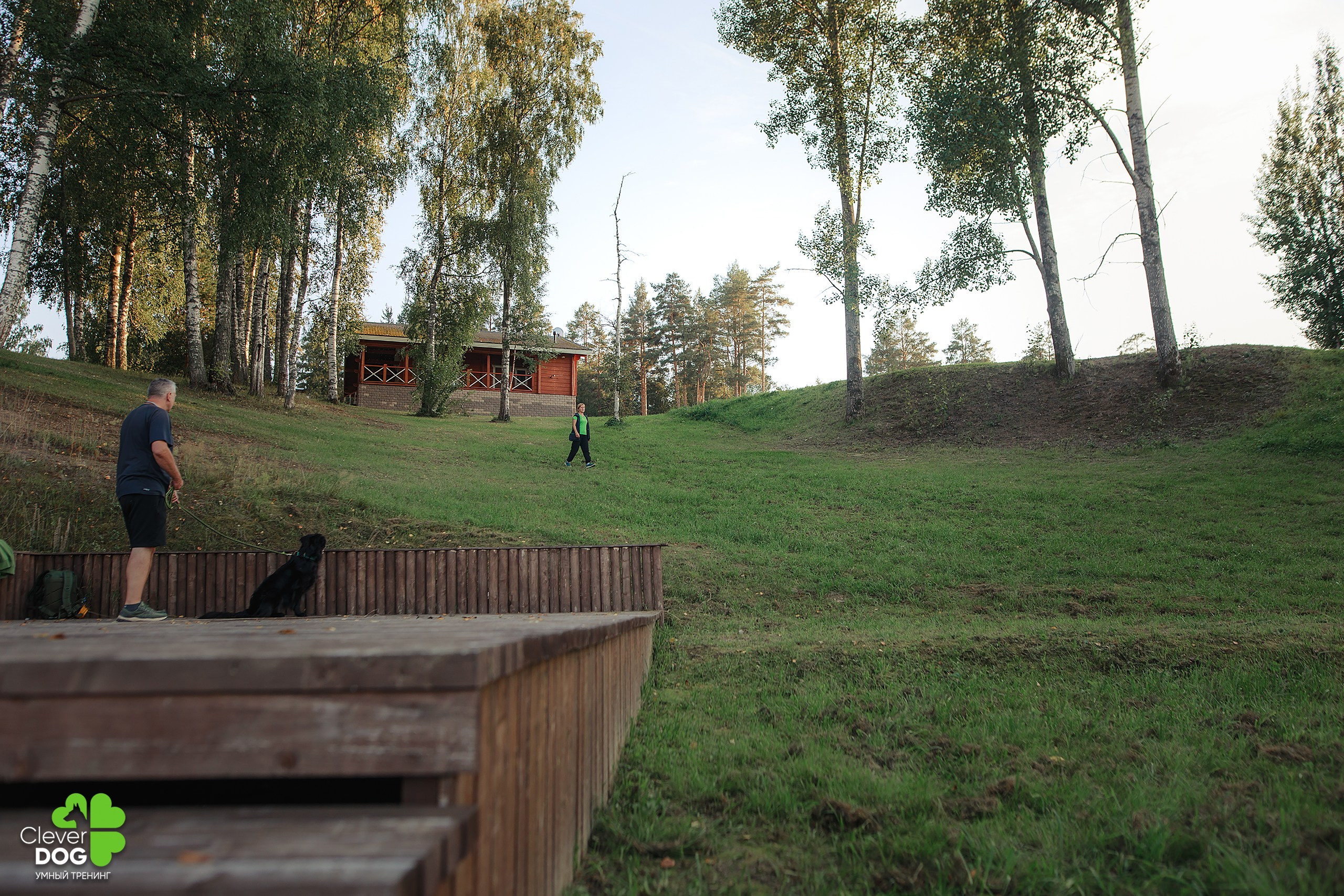 Кинологический лагерь CleverDog, 2024. Фотограф-анималист Mary Mart — Москва, Питер