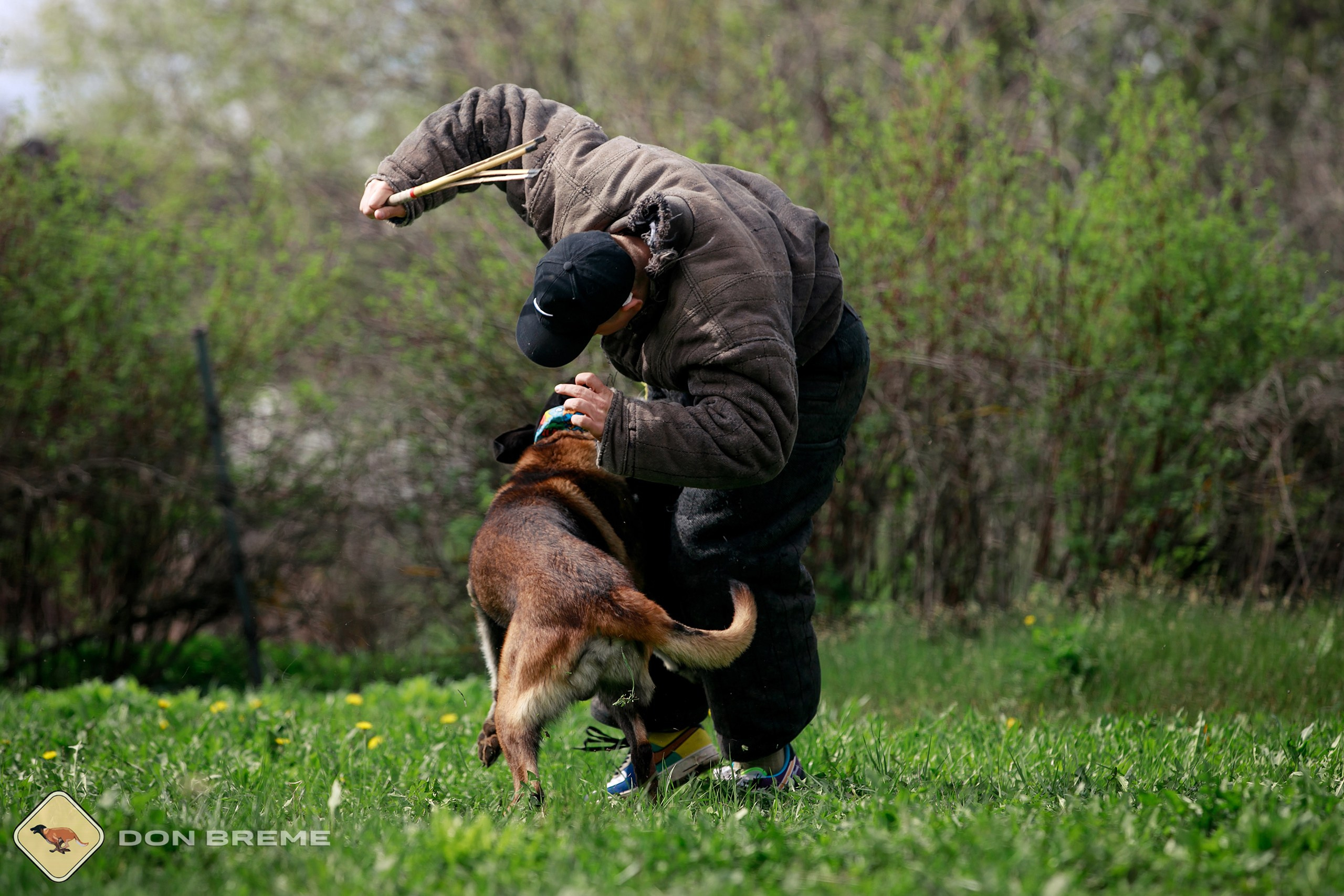 Семинар для фигурантов, день 2. Фотограф-анималист Mary Mart — Москва, Питер