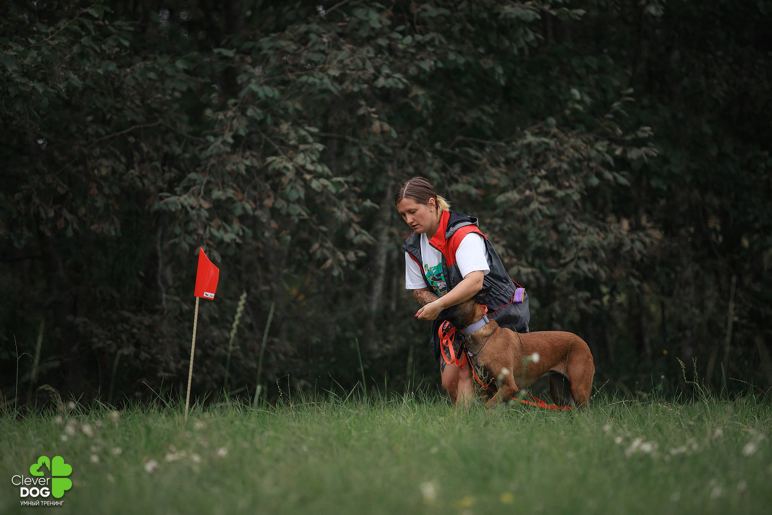 Кинологический лагерь CleverDog, 2024. Фотограф-анималист Mary Mart — Москва, Питер