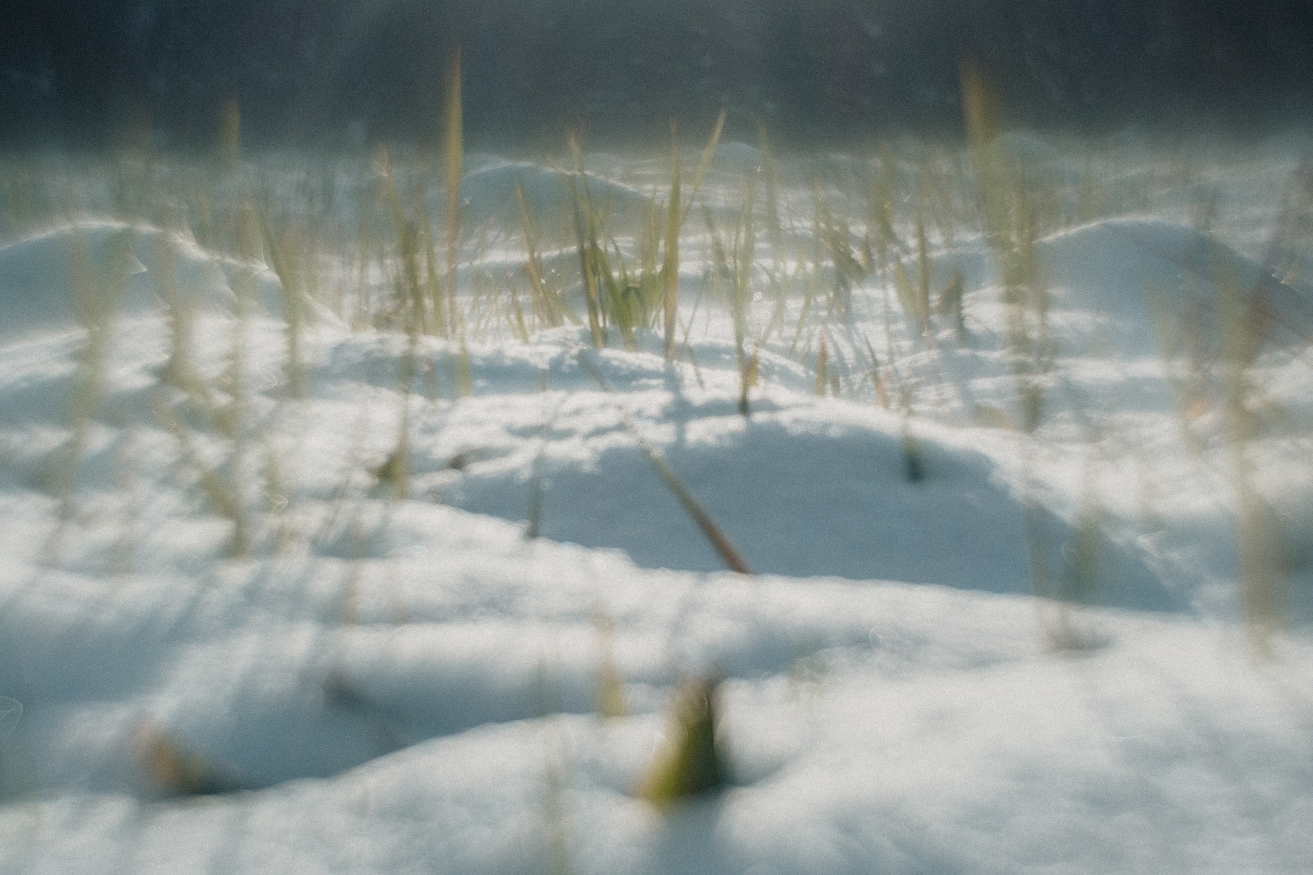 Южный Урал. Окрестности Ялангаса | Май 2024. Andrew Sozonov visual artist