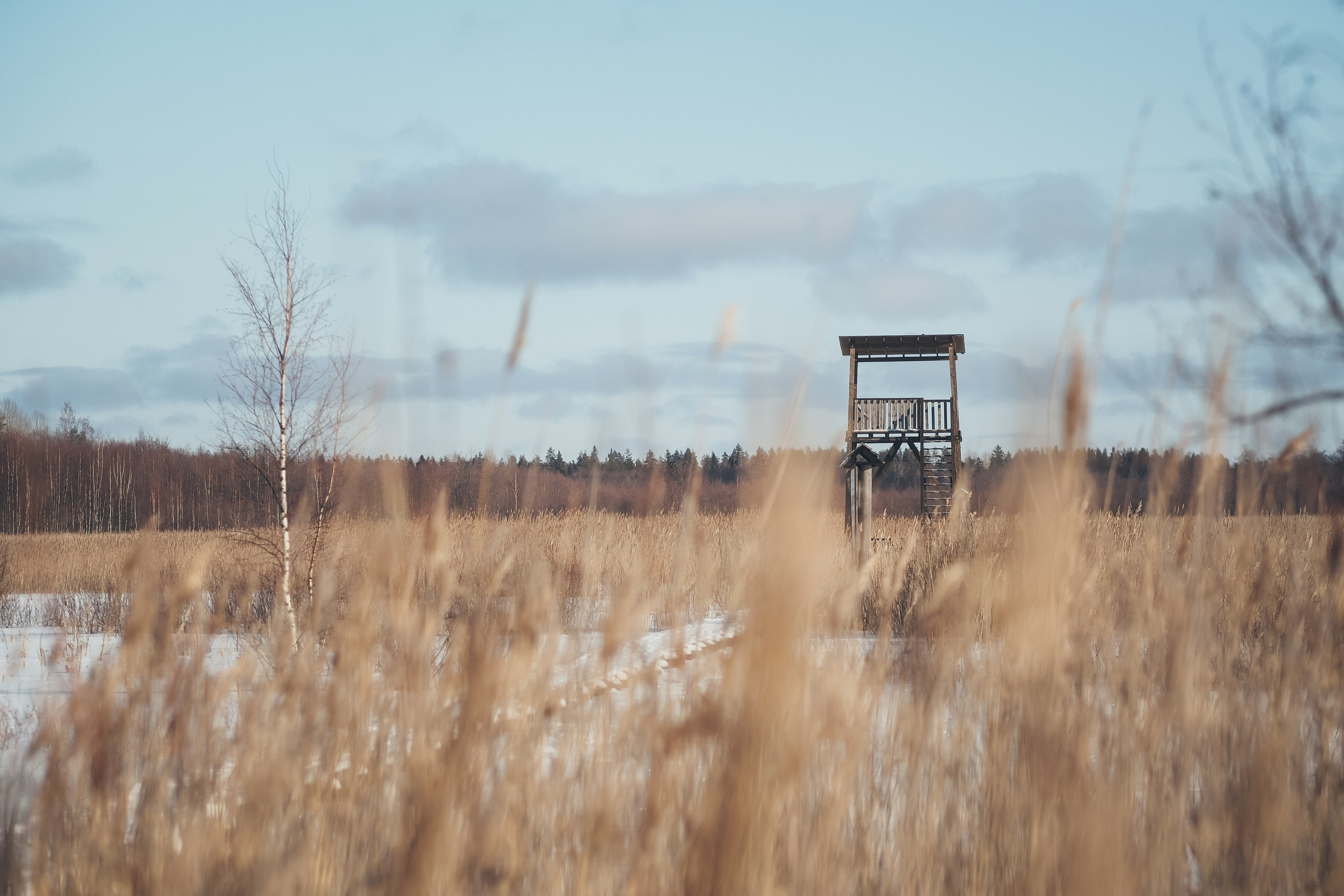 Раковые озера. Свадебный фотограф Копков Геннадий